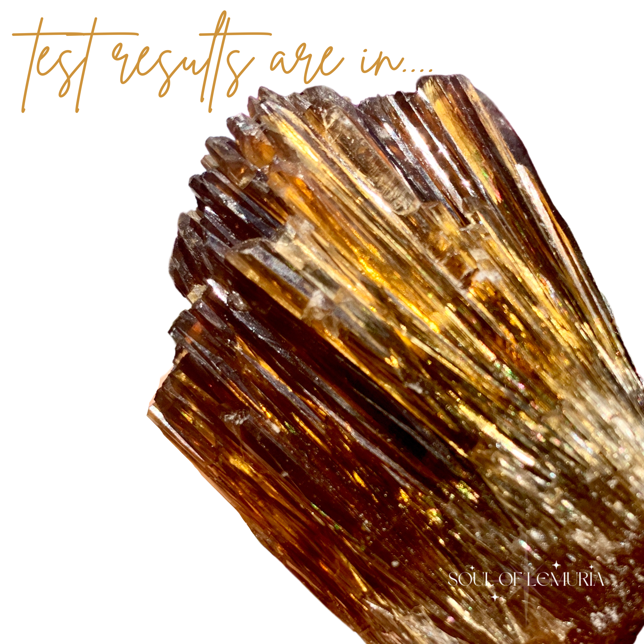 Is it Calcite or Aragonite?