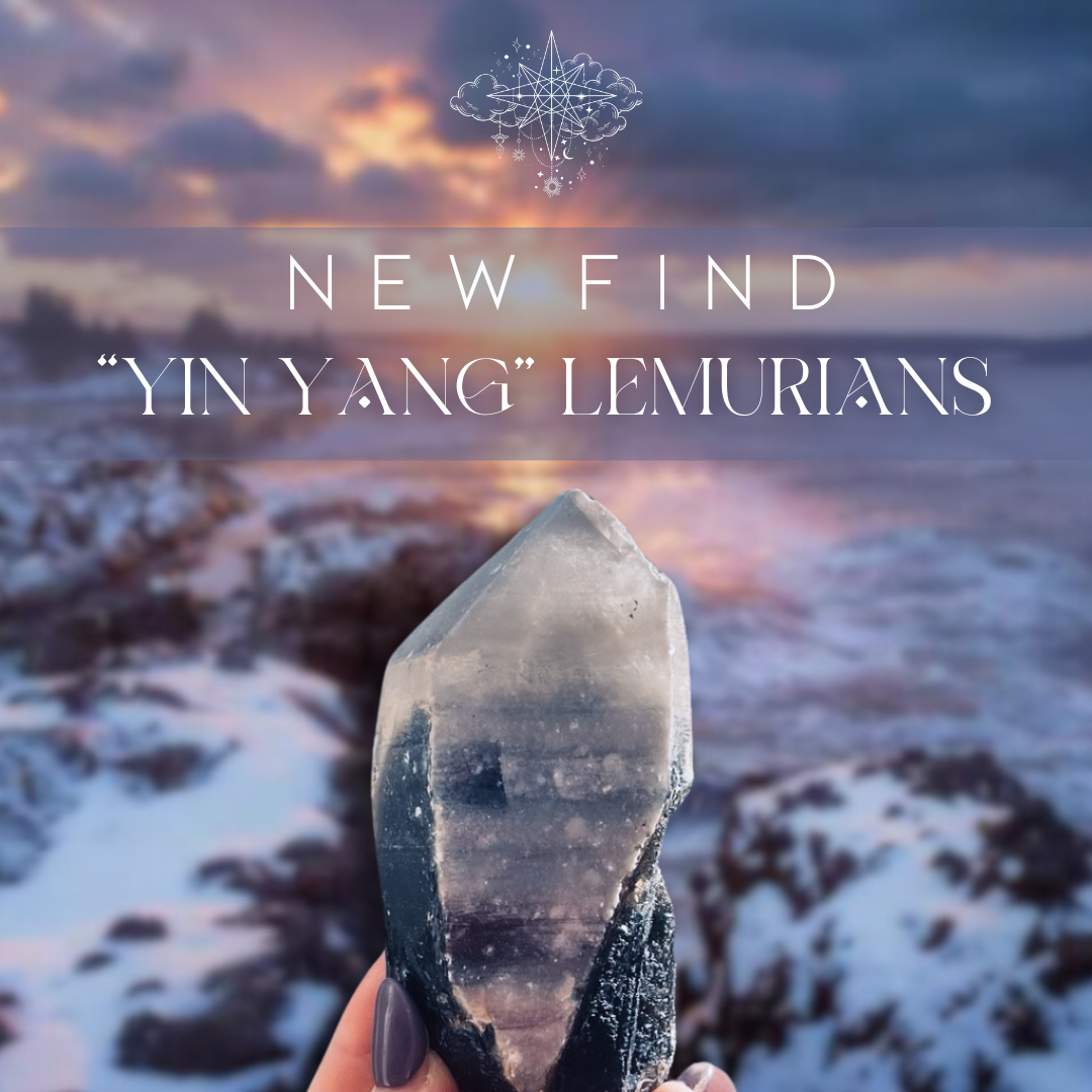 Yin Yang Lemurians