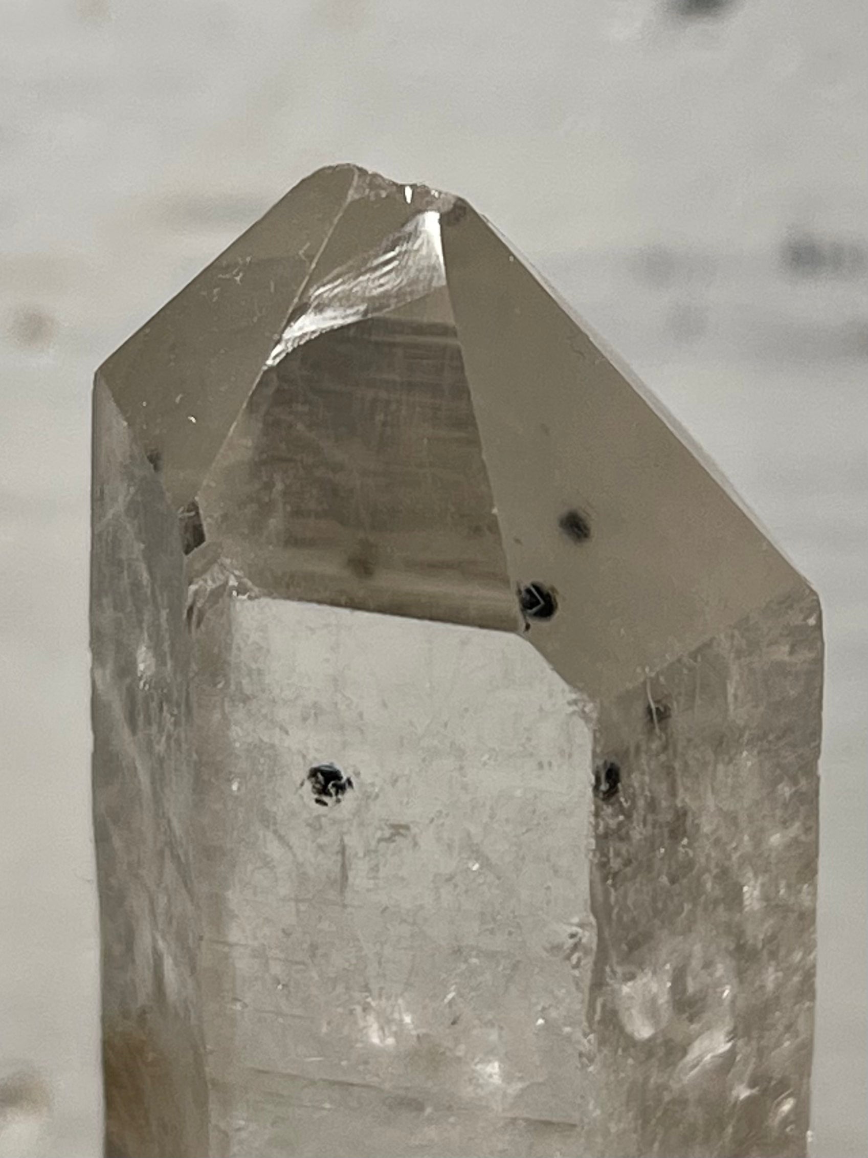 Clinochlore in Quartz with Record Keepers | Empathic Tip | CQ47