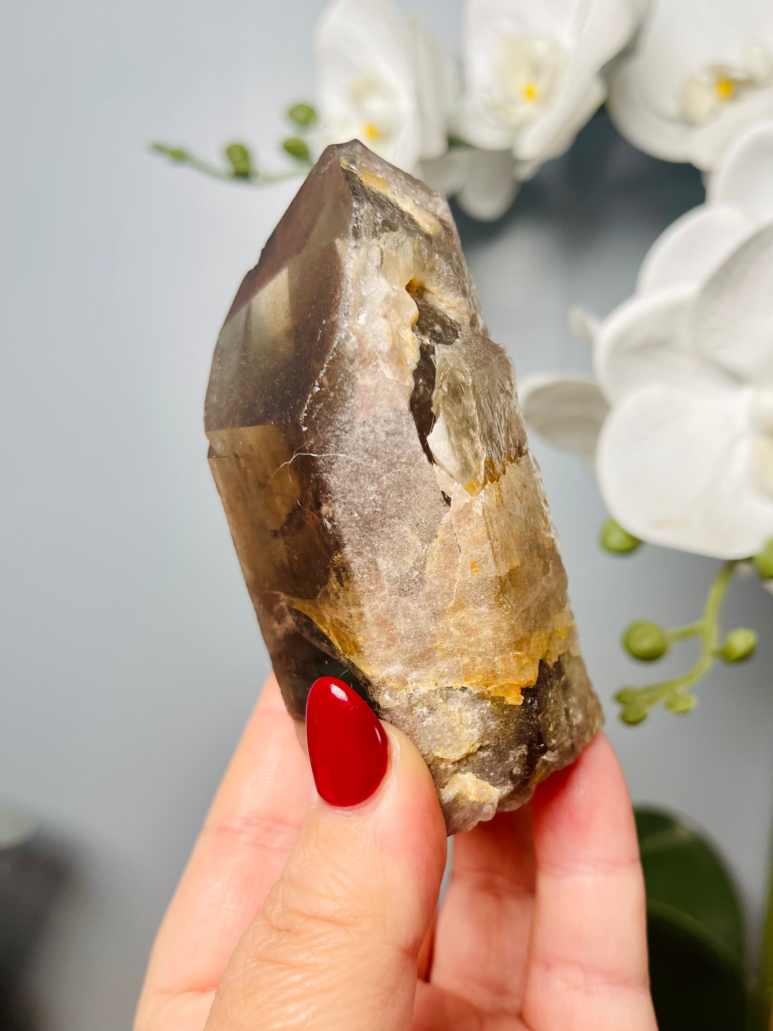 Self-Standing Rainbow Chocolate Cherry | CC 15