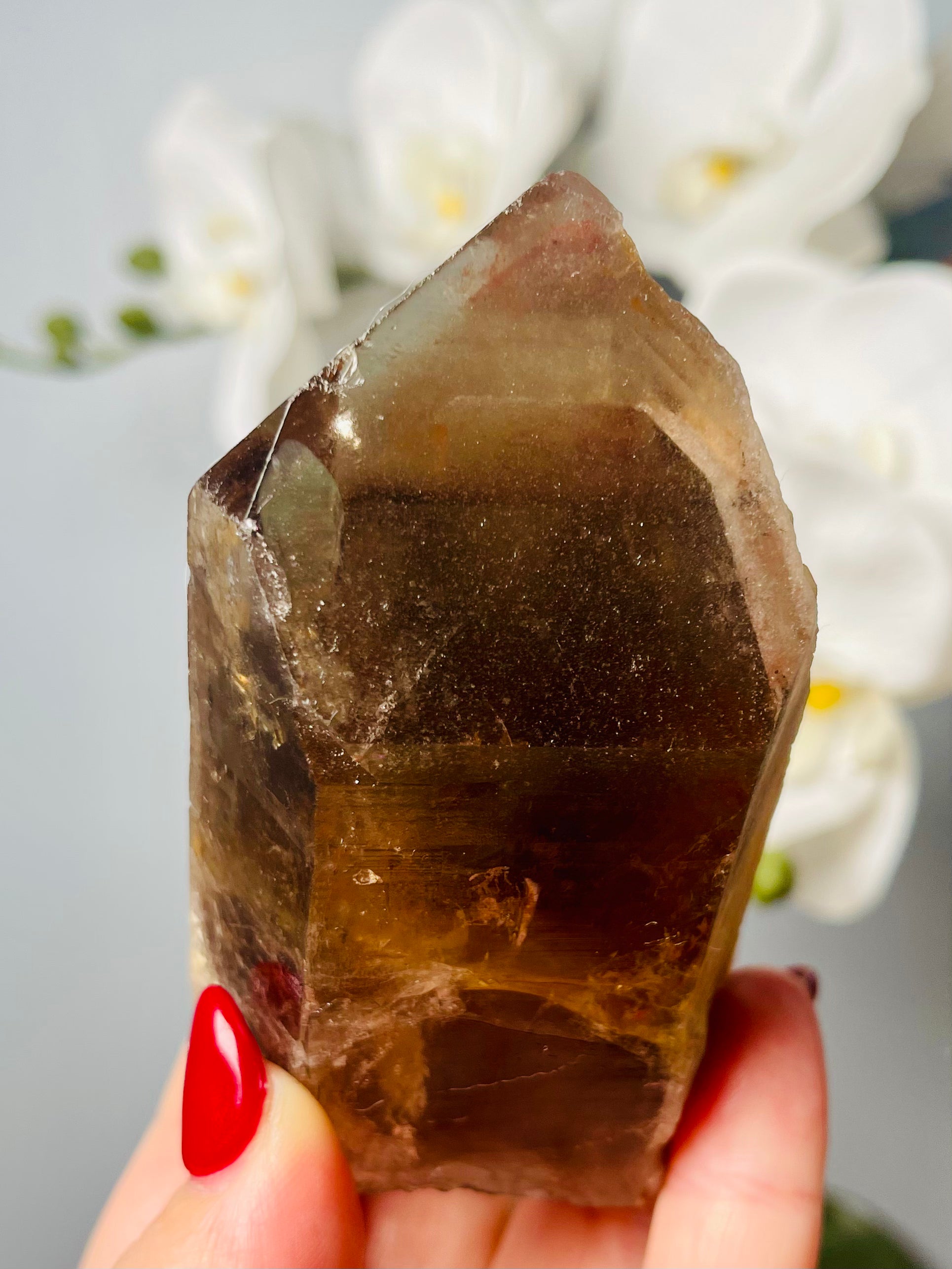 Self-Standing Rainbow Chocolate Cherry | CC 15