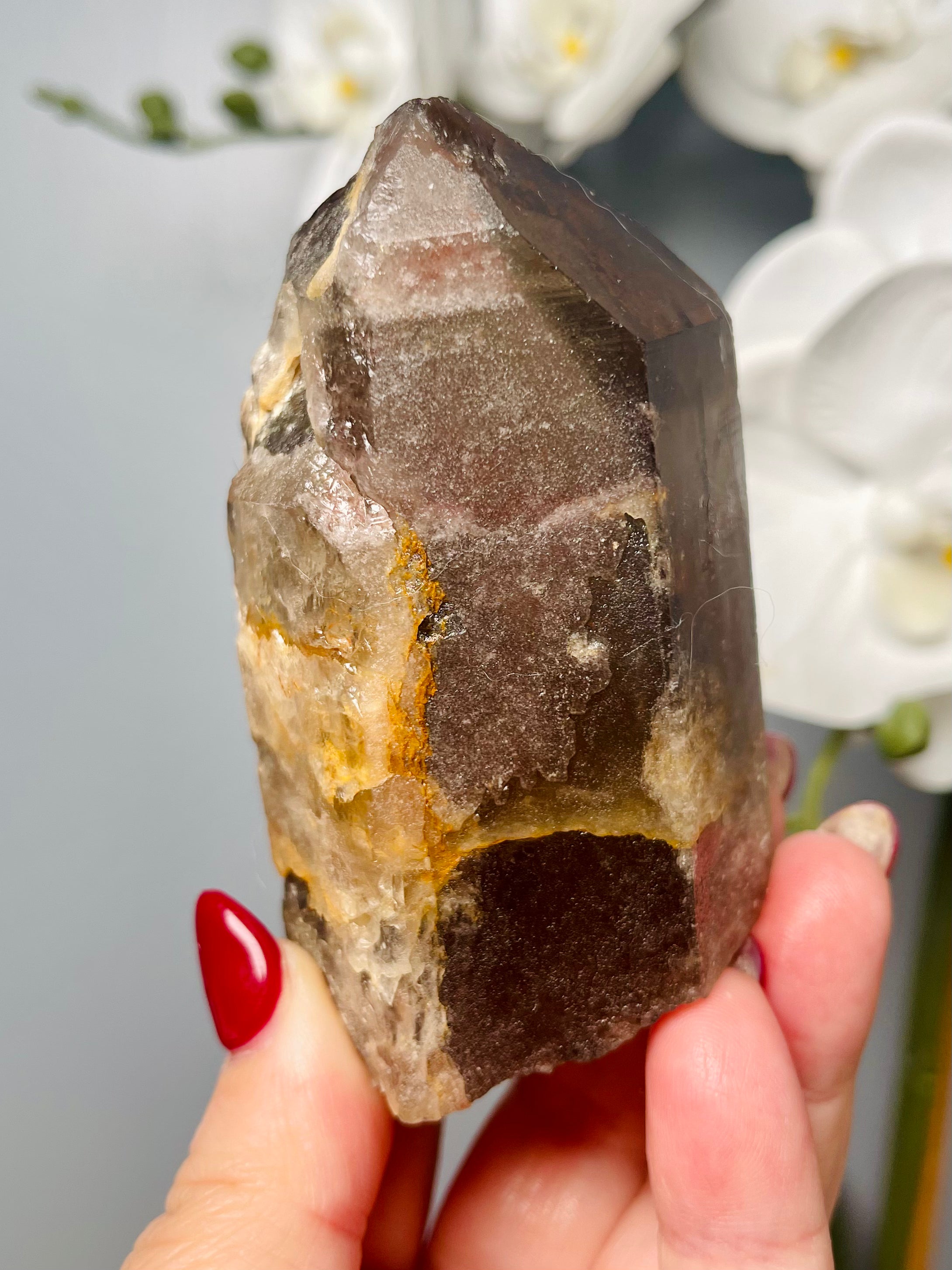 Self-Standing Rainbow Chocolate Cherry | CC 15