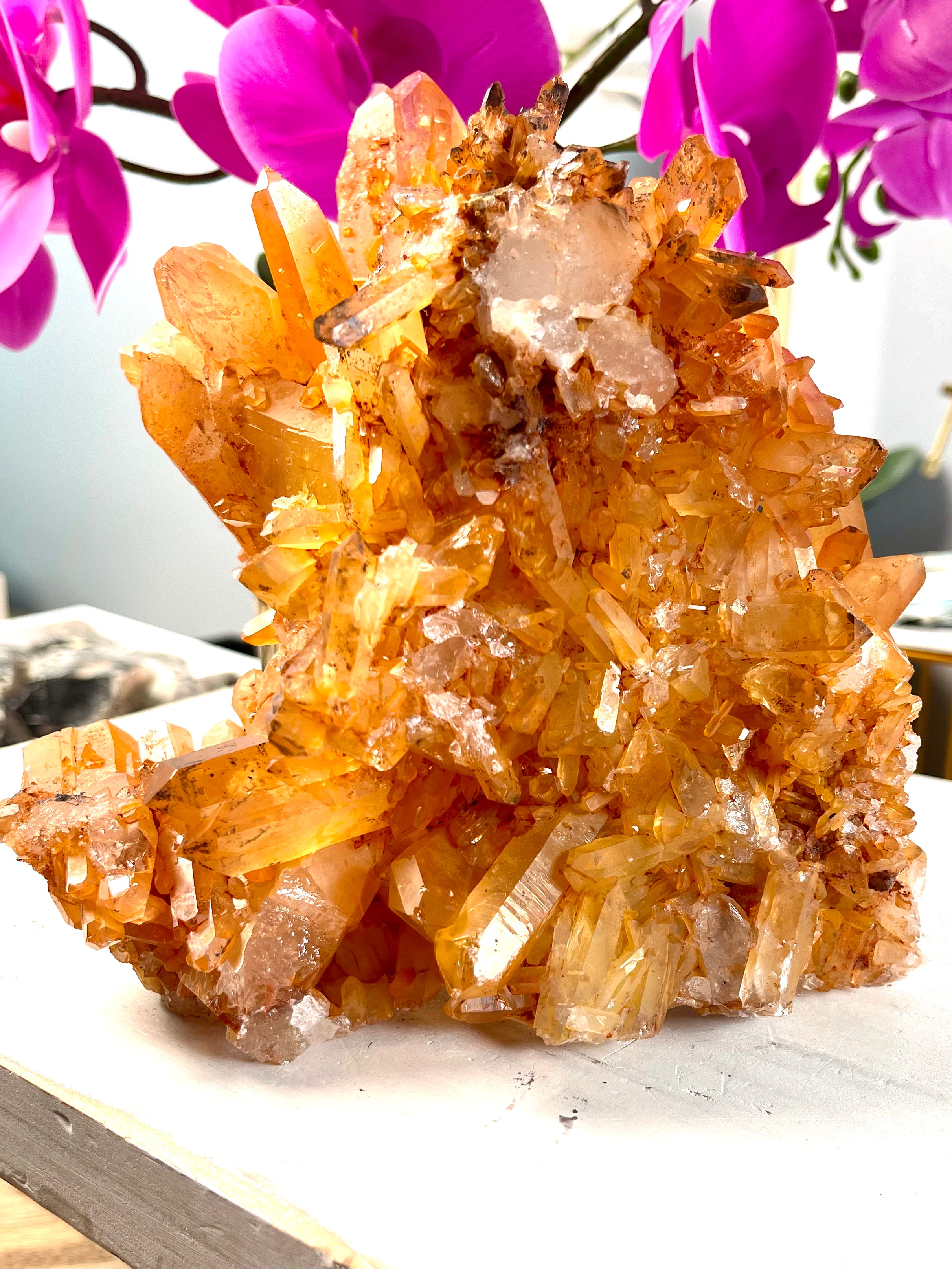 XL Self Standing Tangerine Lemurian Cluster | T20