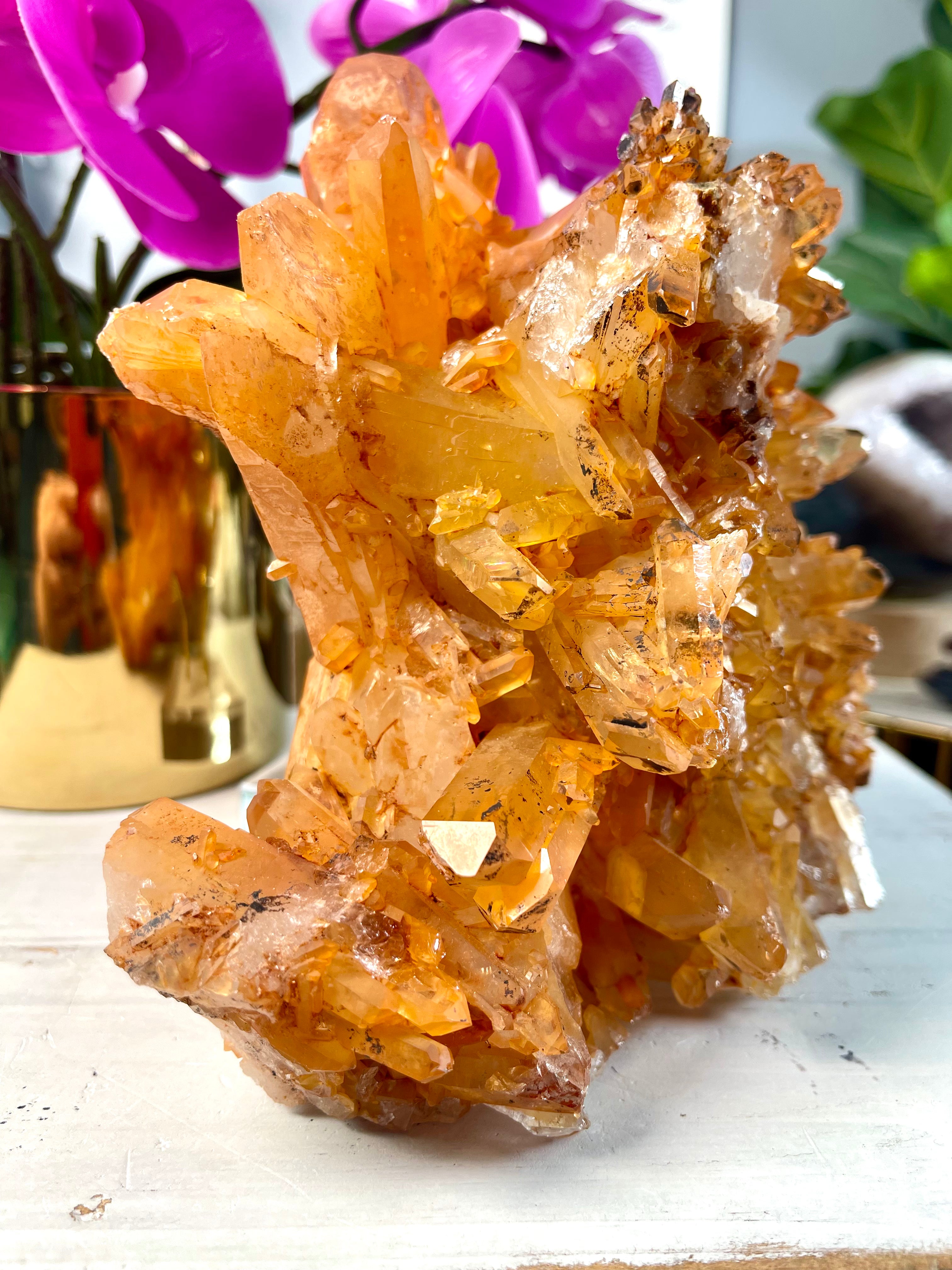 XL Self Standing Tangerine Lemurian Cluster | T20