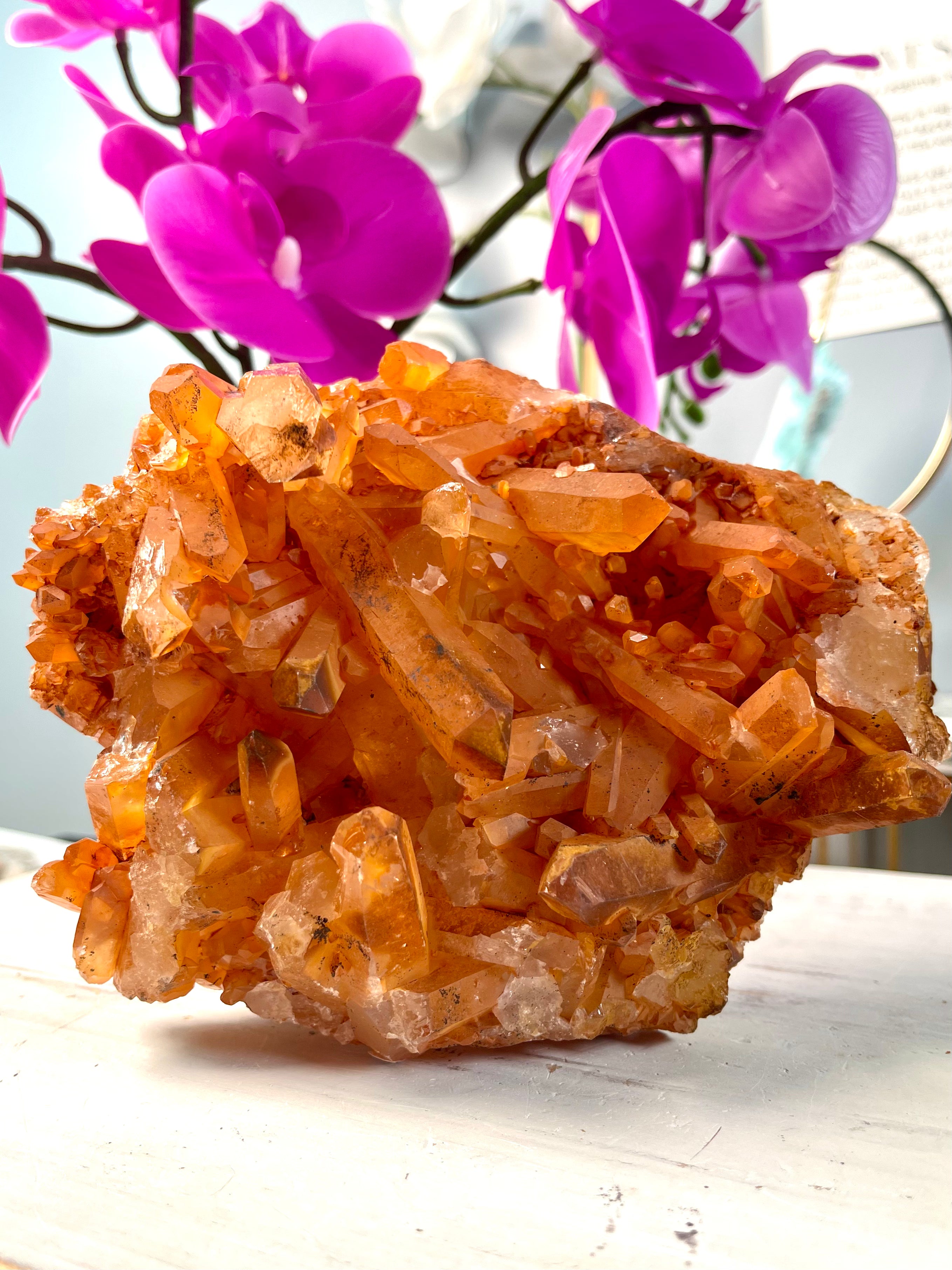 XL Self Standing Tangerine Lemurian Cluster | T22
