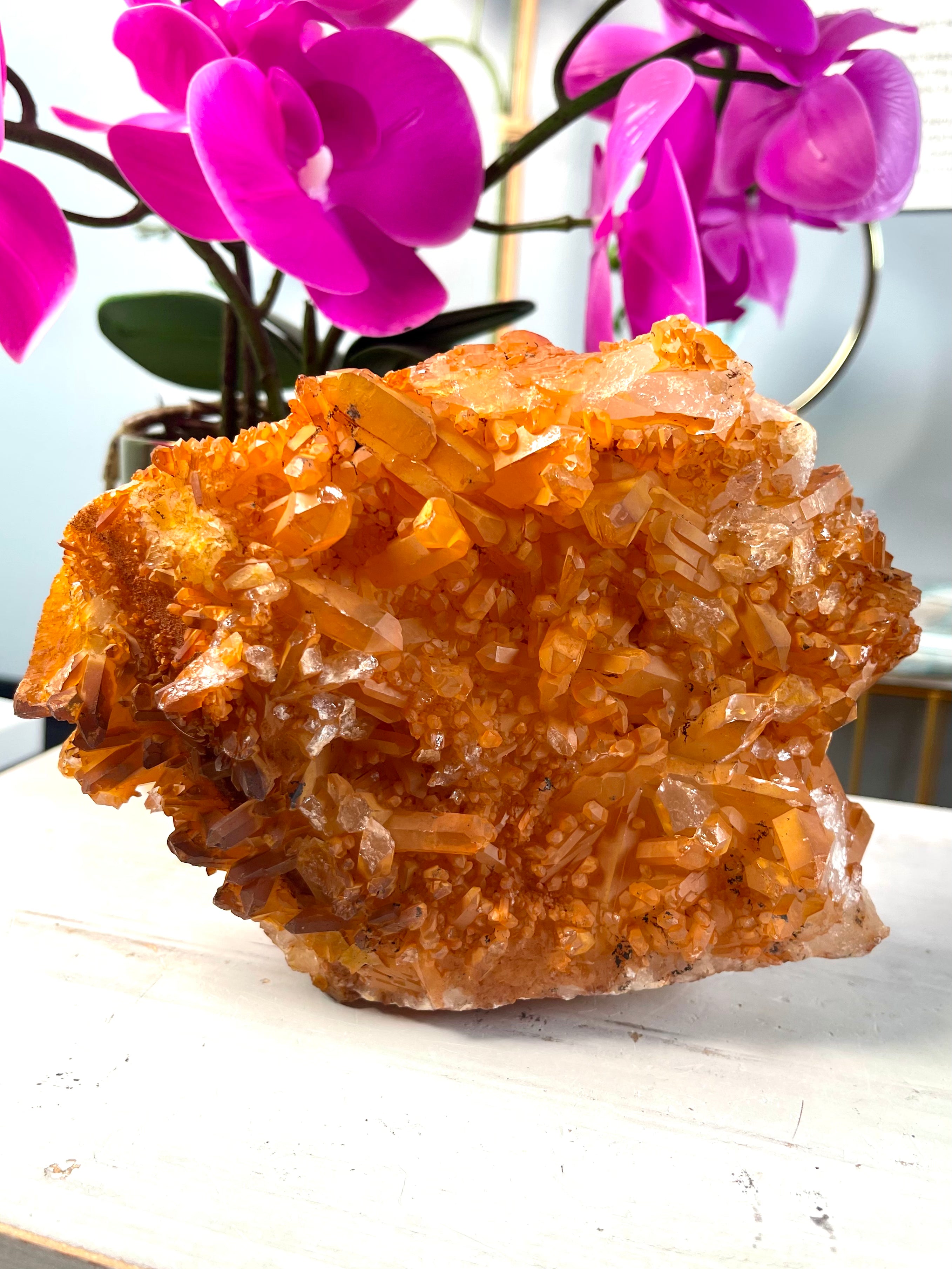 XL Self Standing Tangerine Lemurian Cluster | T22