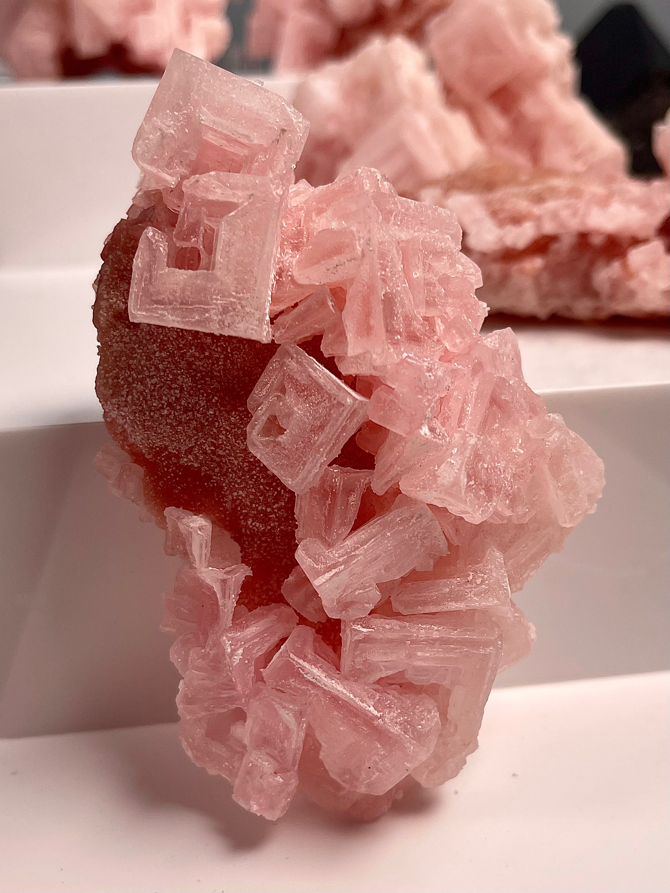 Self Standing Pink Halite | H6