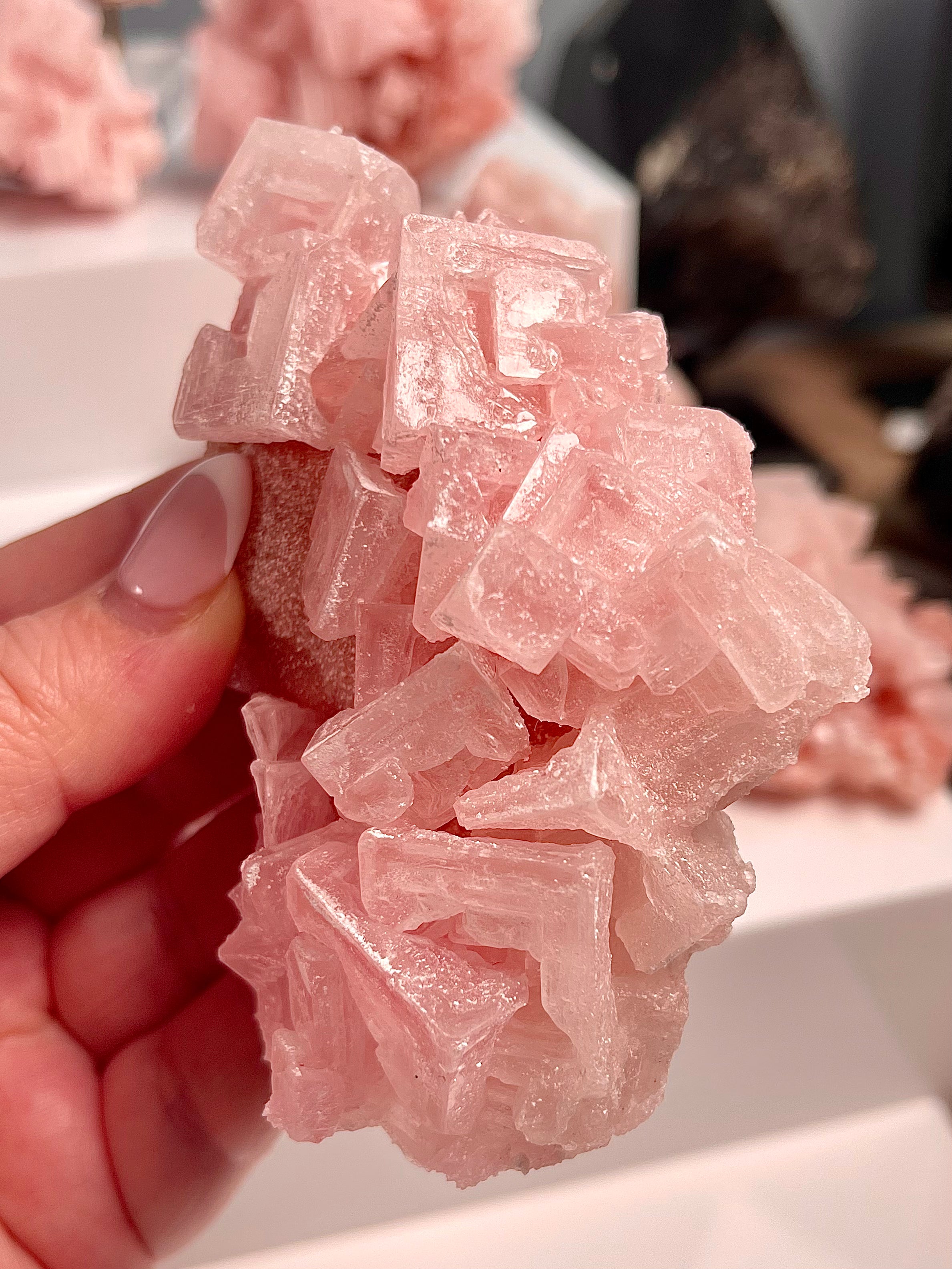 Self Standing Pink Halite | H6