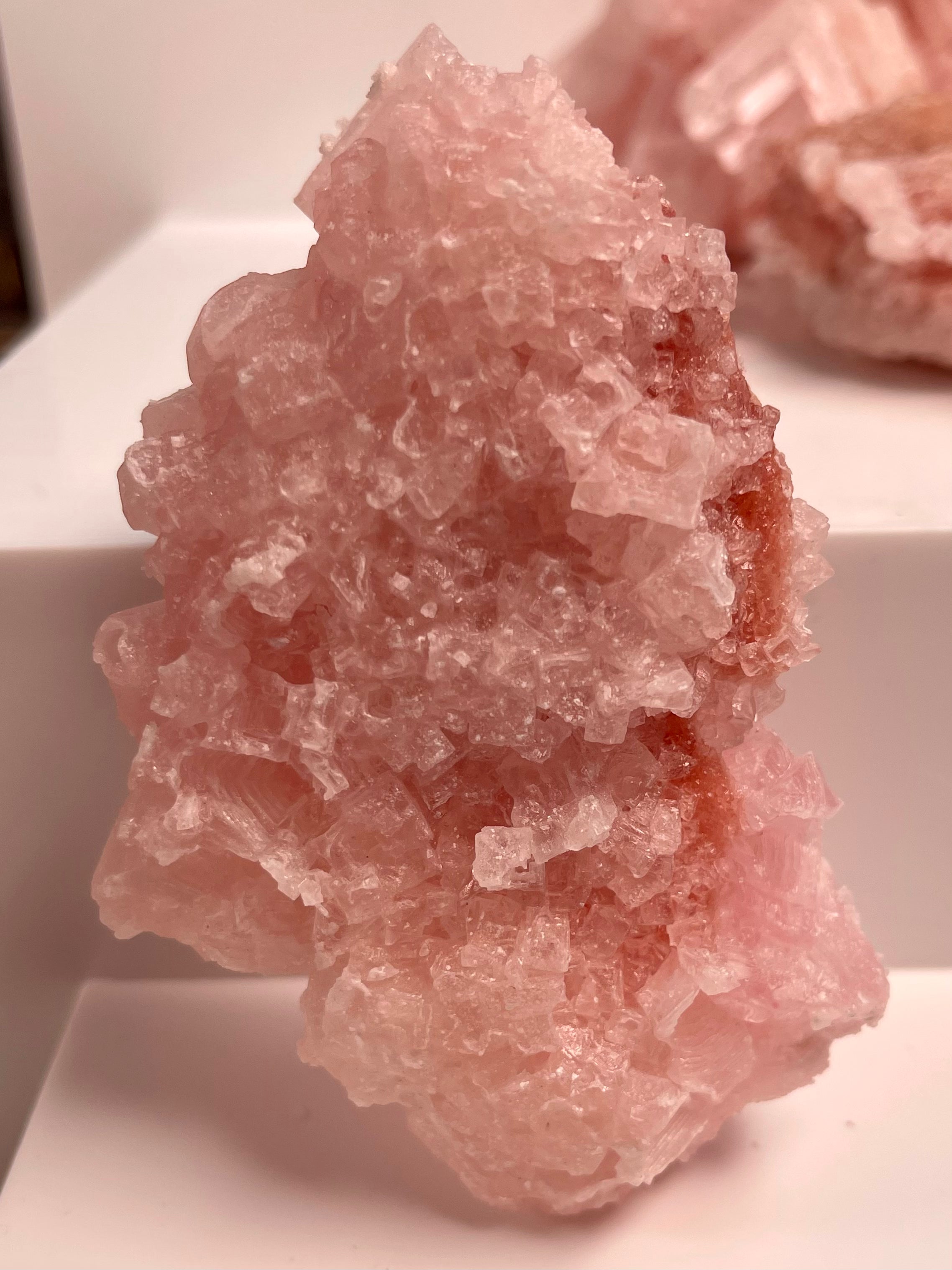 Self Standing Pink Halite | H6