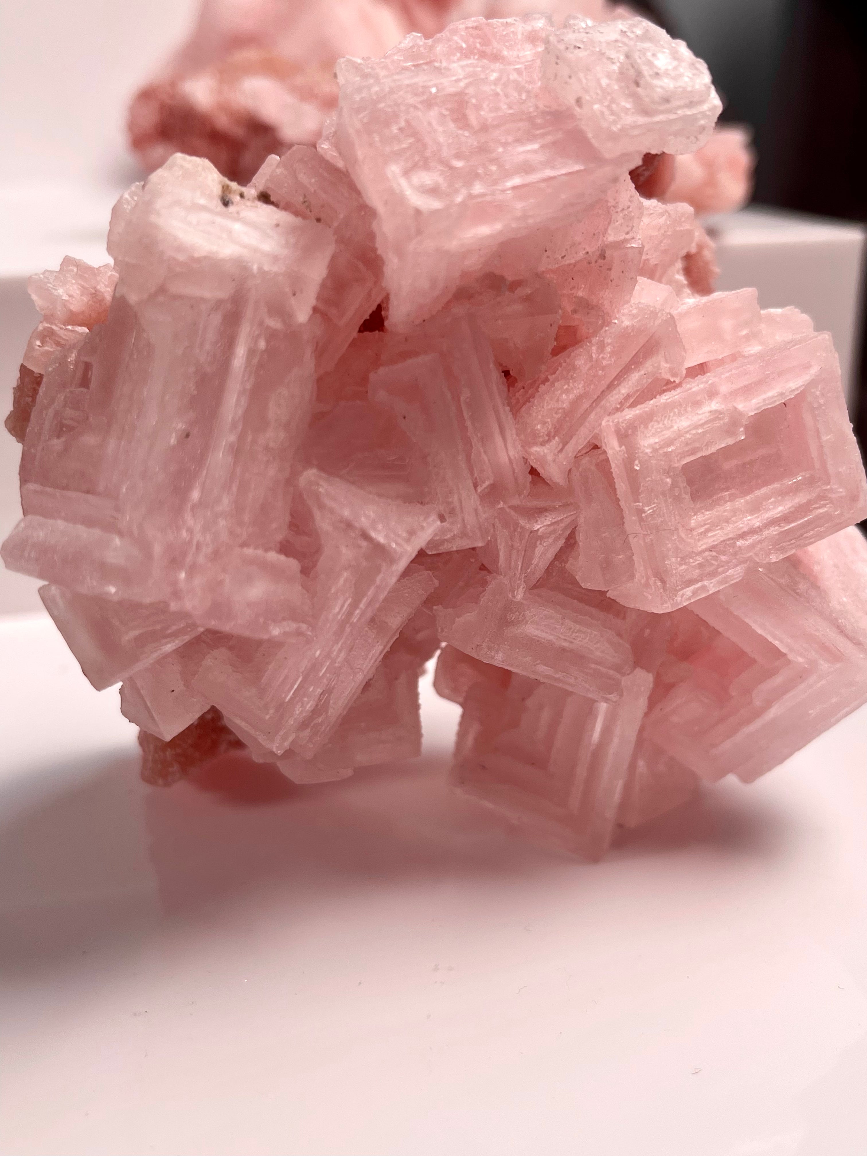 XL Self Standing Pink Halite | H1