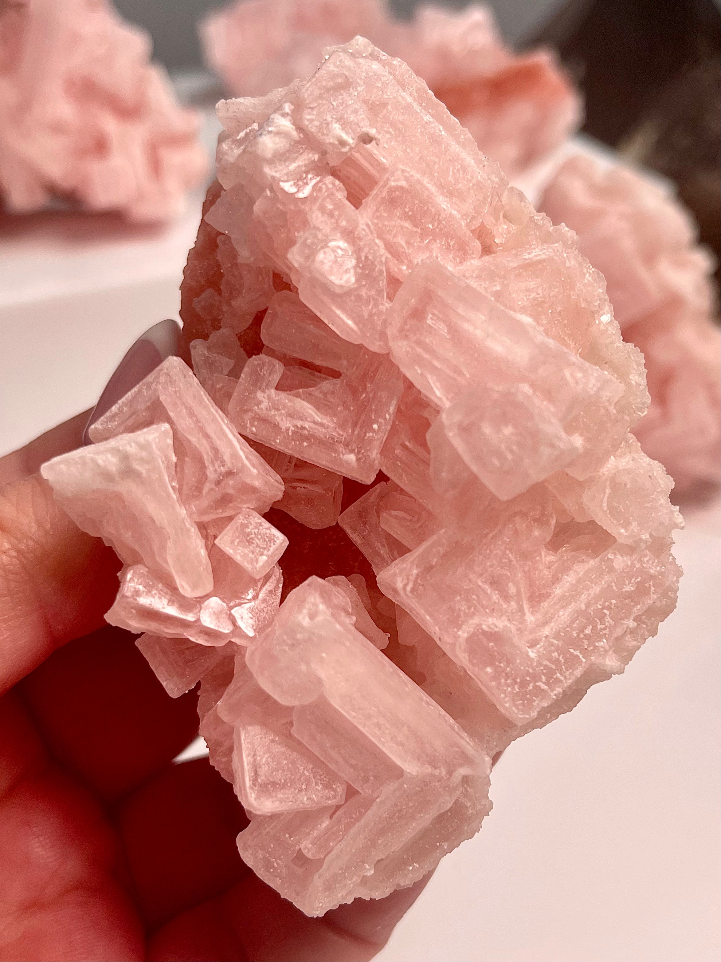 Self Standing Pink Halite | H11