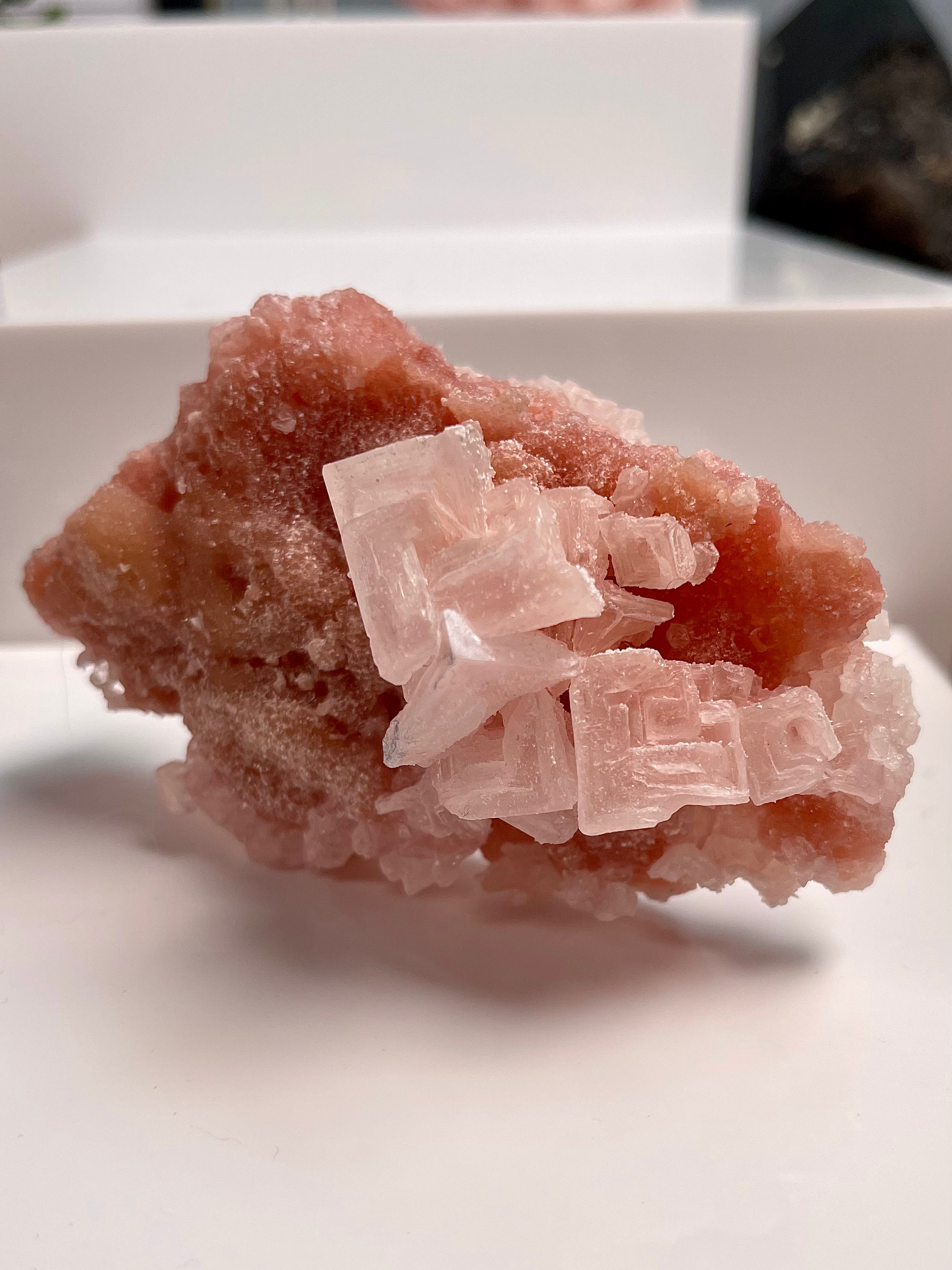 Self Standing Pink Halite | H12