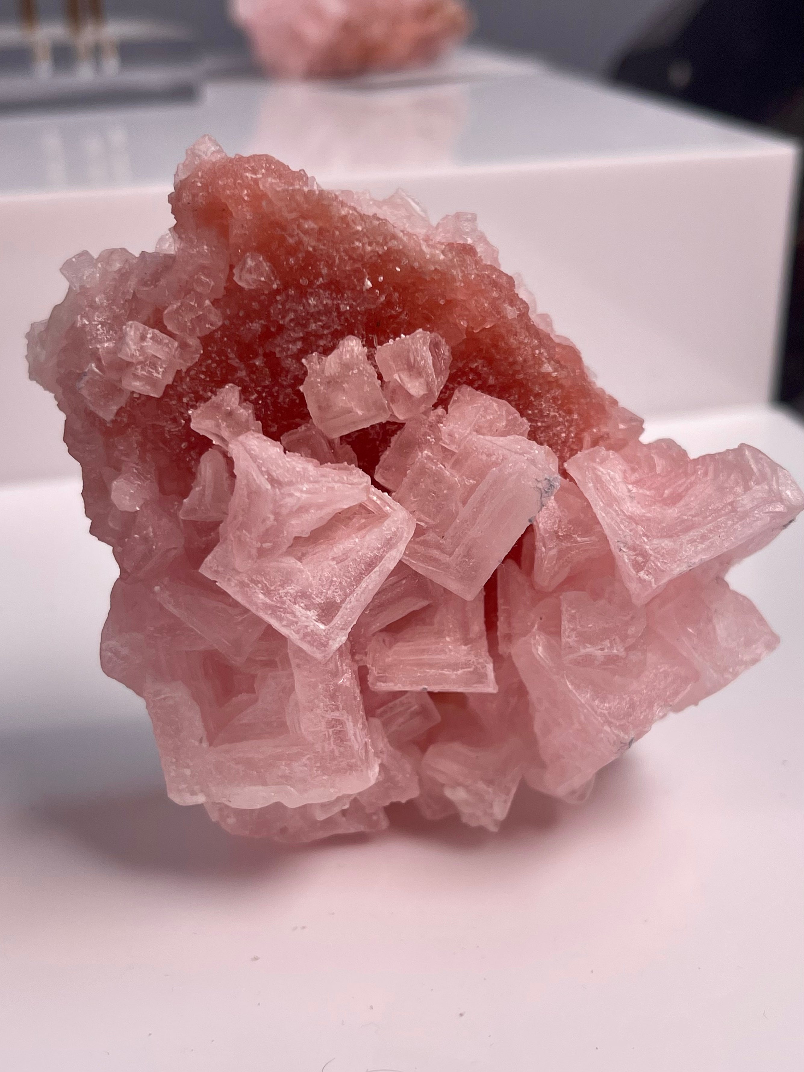 Self Standing Pink Halite | H3