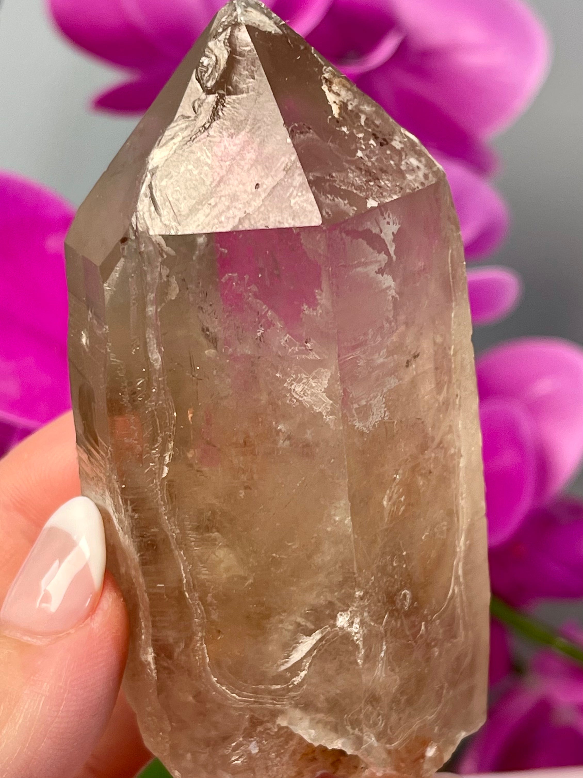 Etched Starbrary Lemurian | Record Keeper | S55