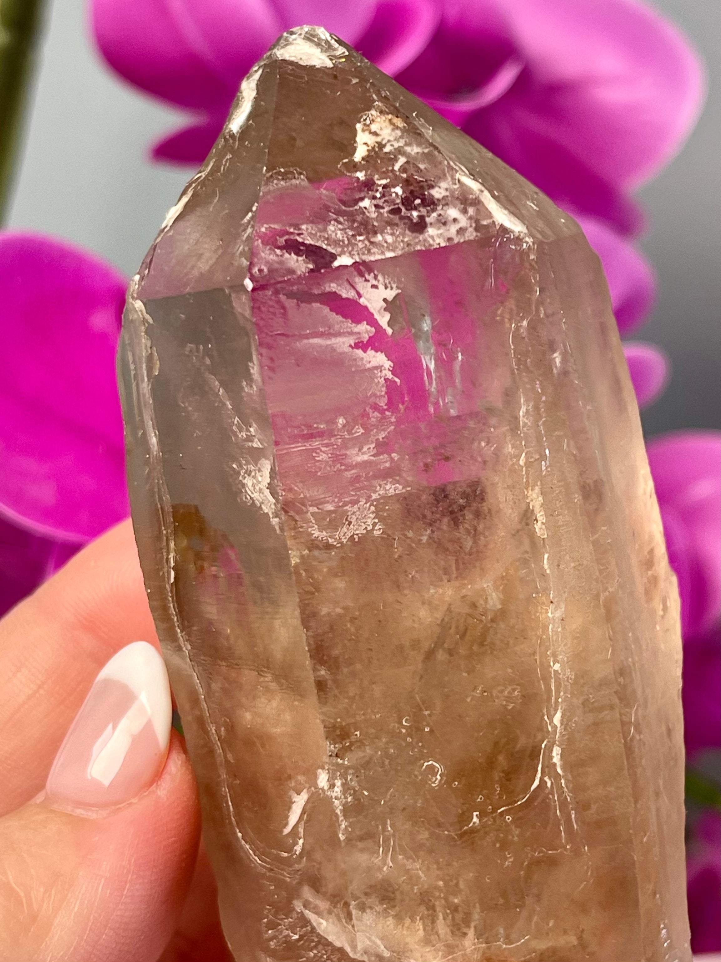 Etched Starbrary Lemurian | Record Keeper | S55
