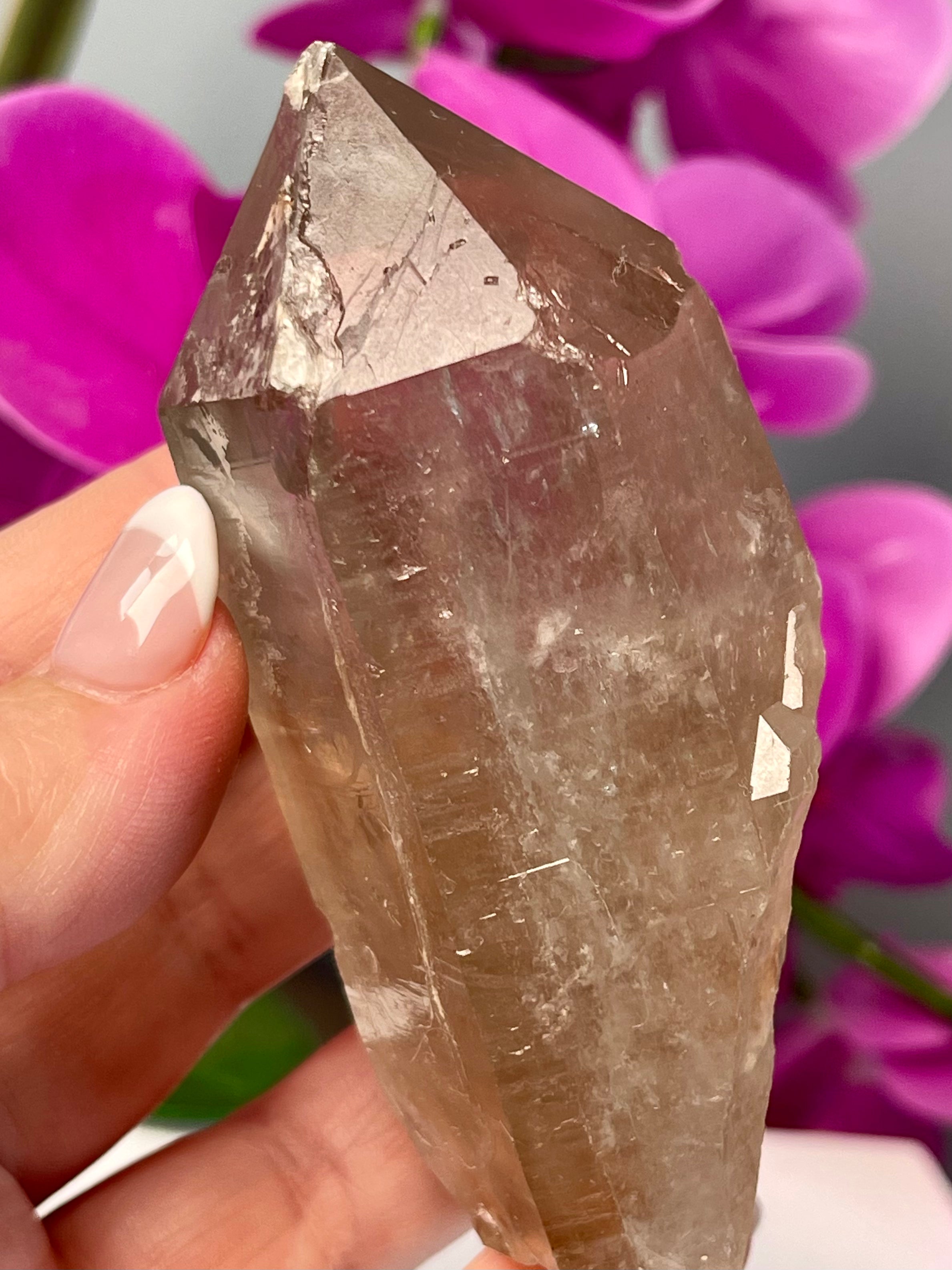 Etched Starbrary Lemurian | Record Keeper | S55
