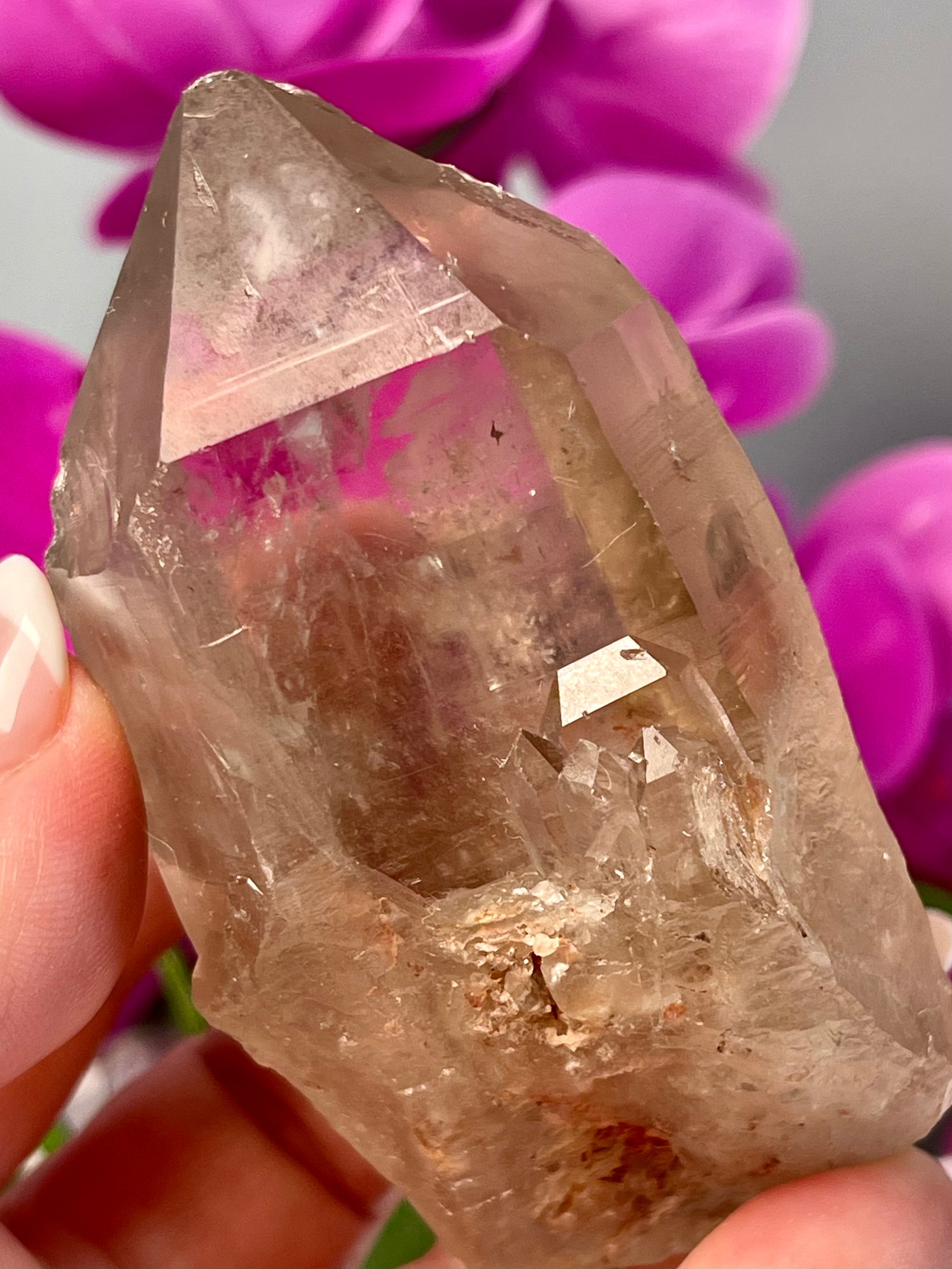Etched Starbrary Lemurian | Record Keeper | S55