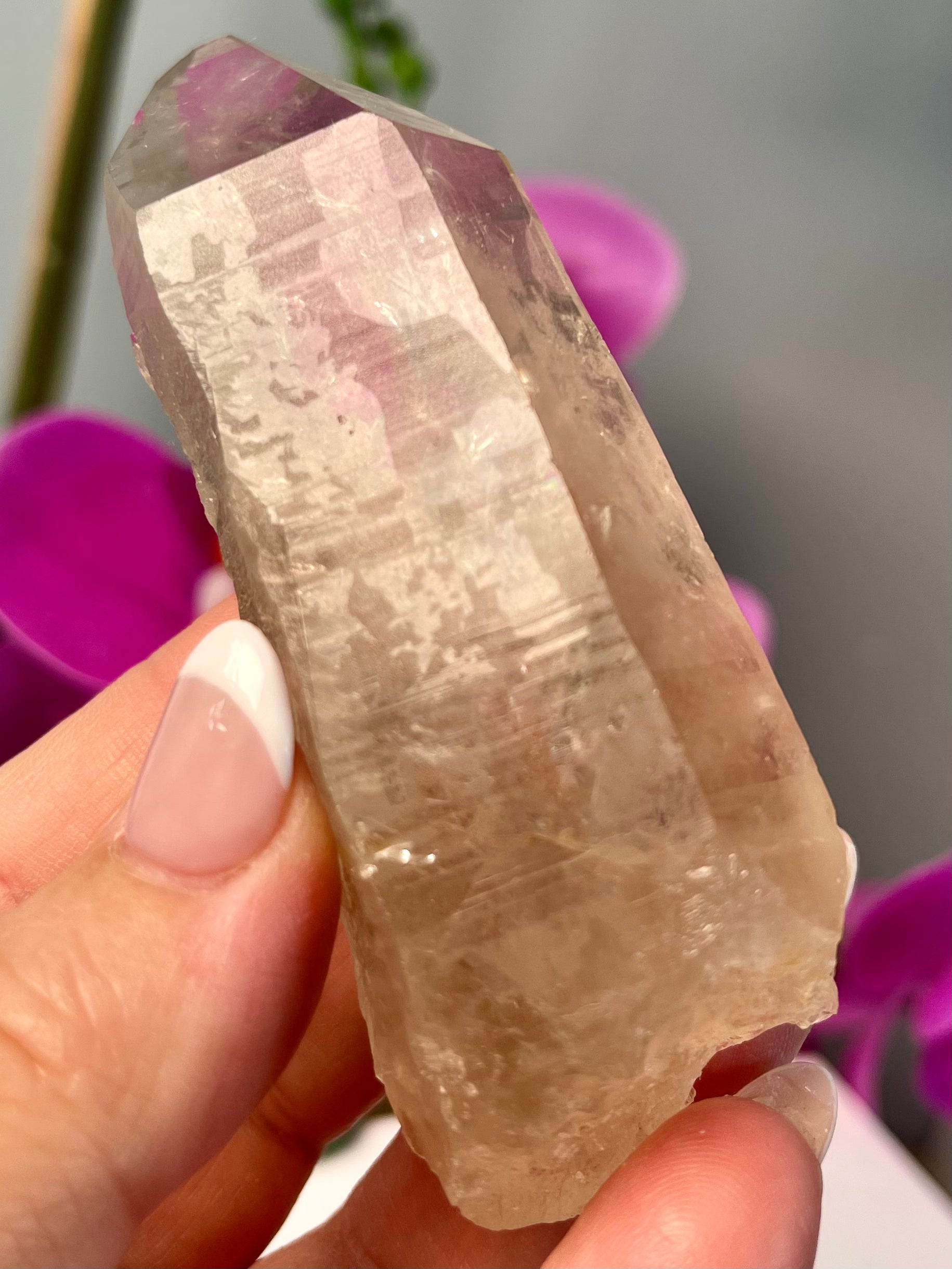 Etched Starbrary Lemurian | Record Keeper | S9