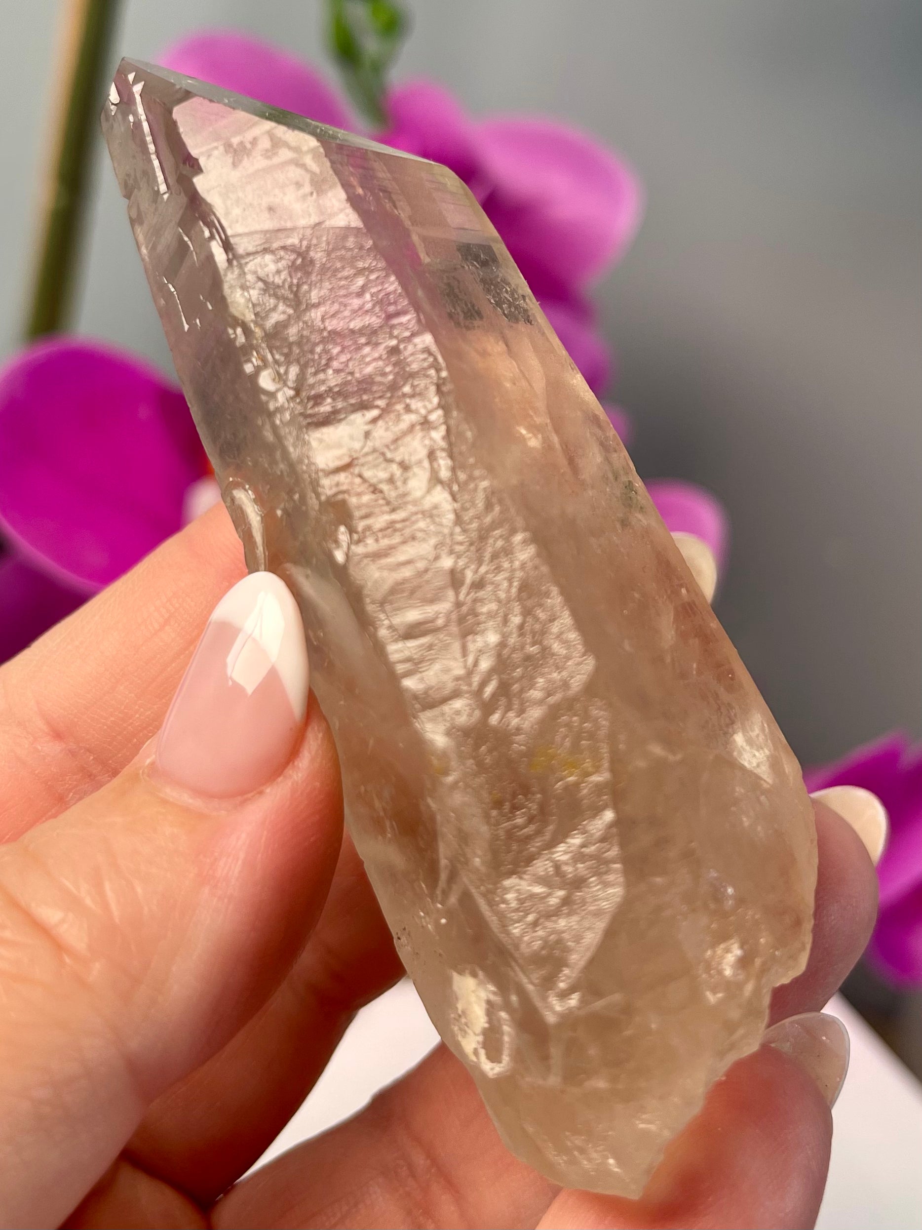 Etched Starbrary Lemurian | Record Keeper | S9