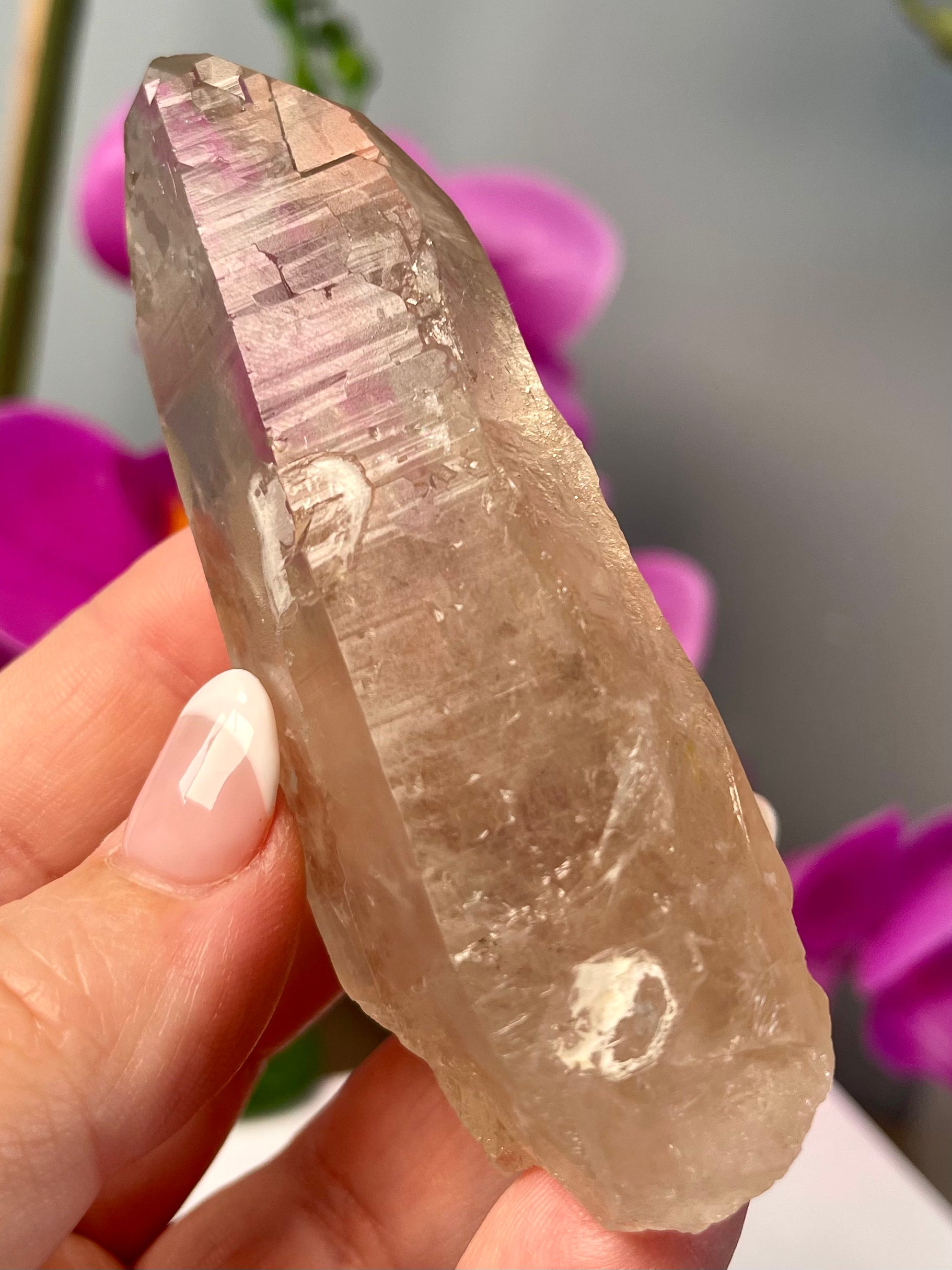 Etched Starbrary Lemurian | Record Keeper | S9