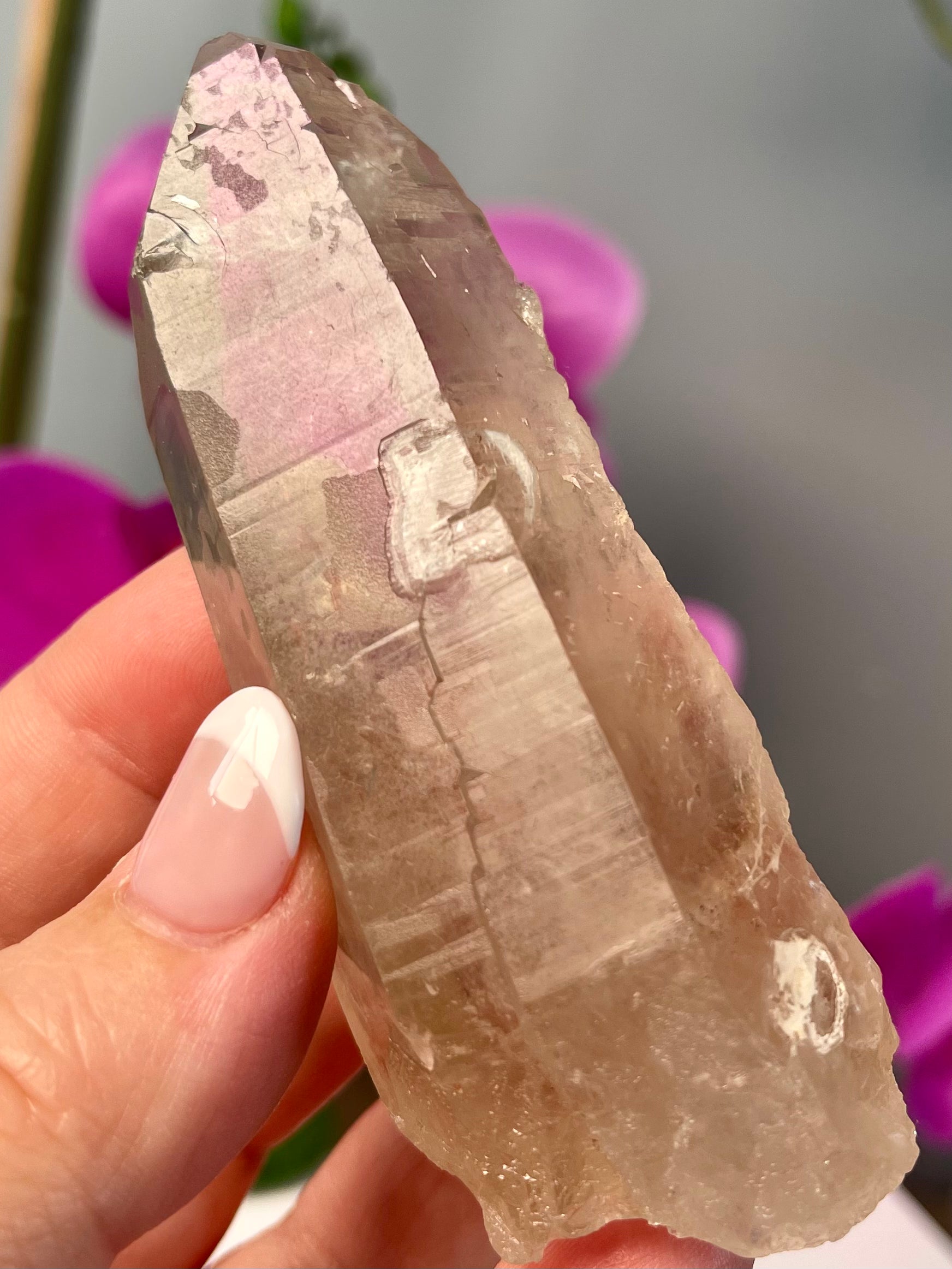 Etched Starbrary Lemurian | Record Keeper | S9
