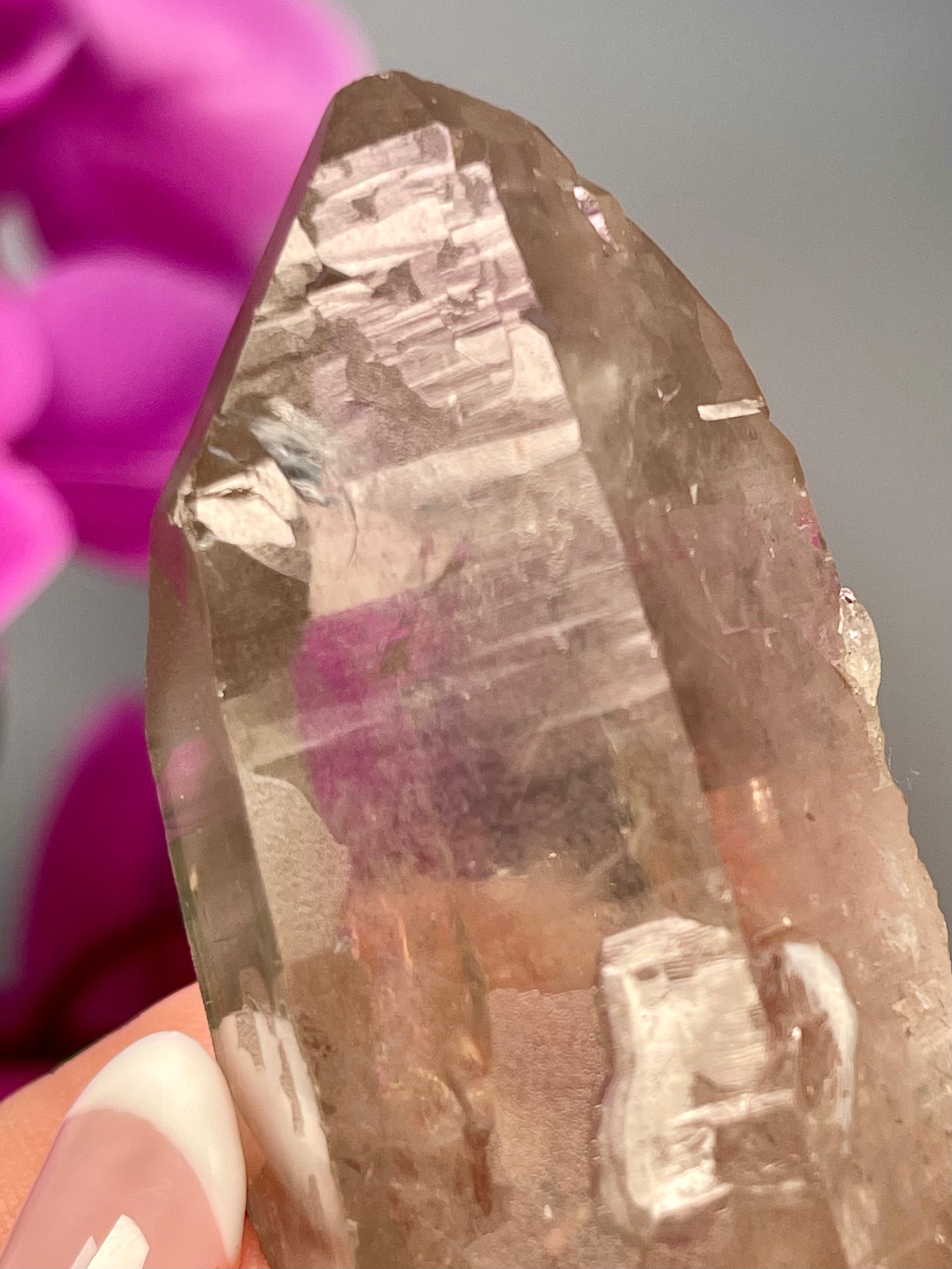 Etched Starbrary Lemurian | Record Keeper | S9