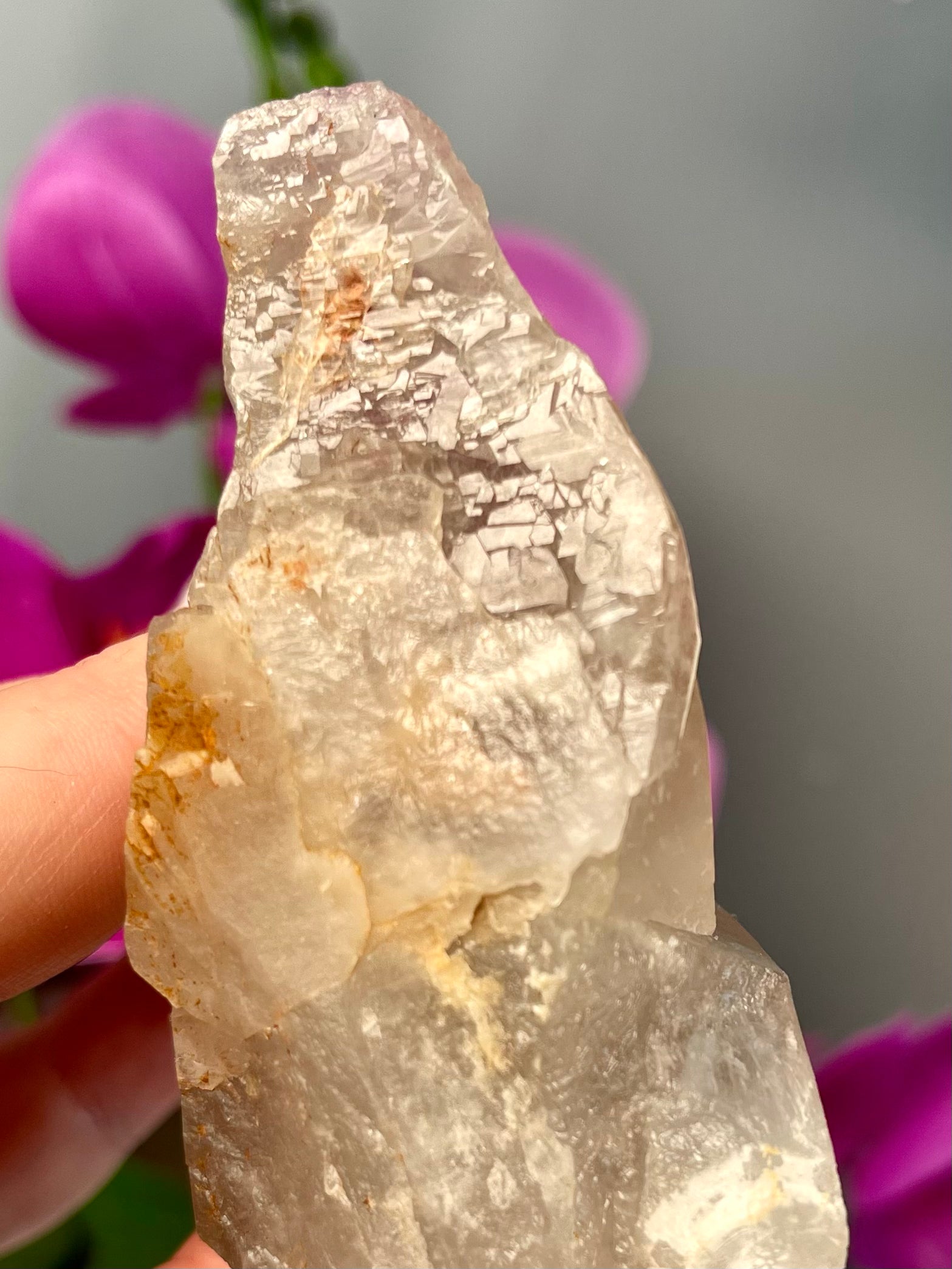 Etched Starbrary Lemurian | ET | S82