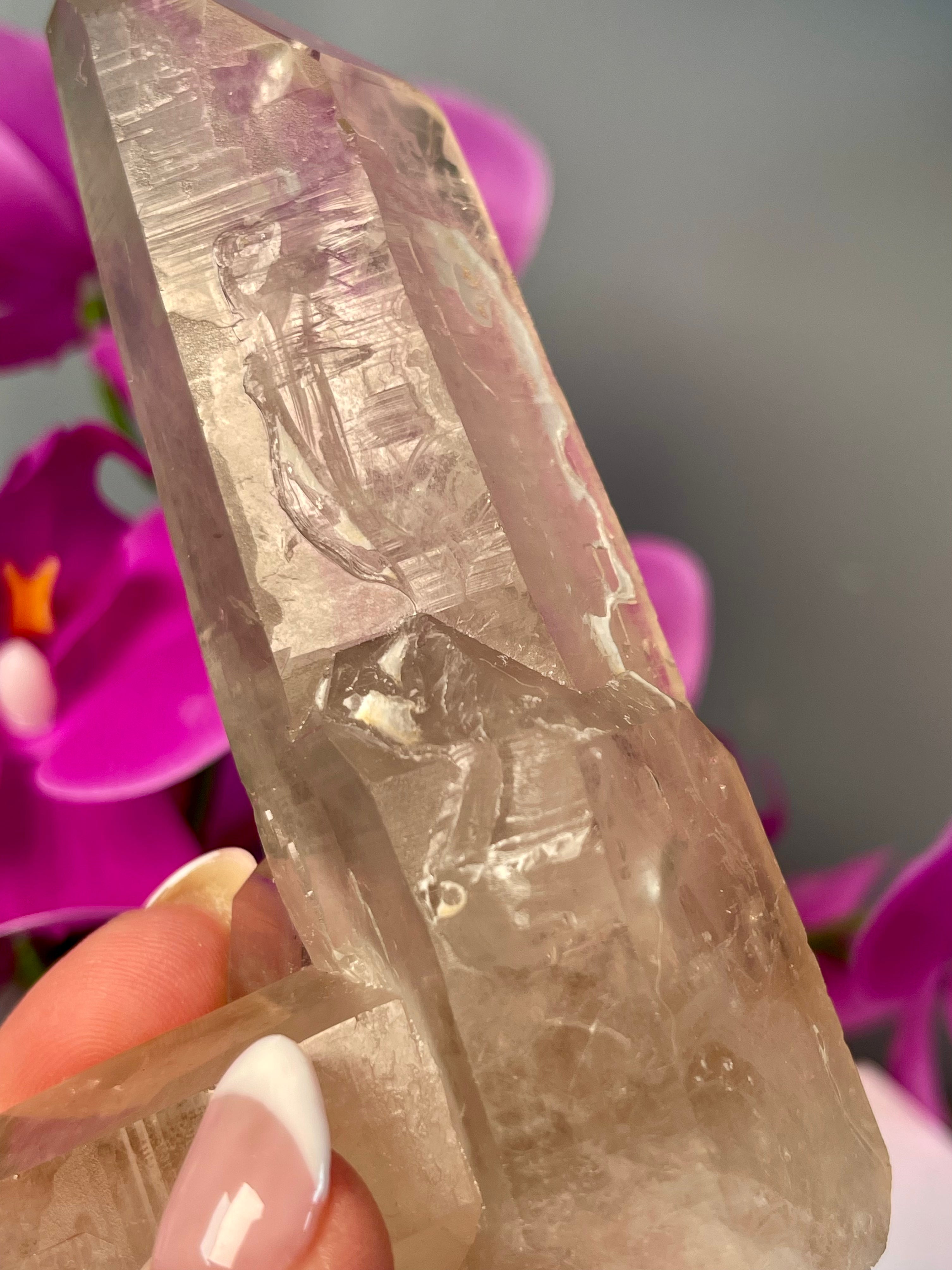 Etched Starbrary Lemurian | ET | S82