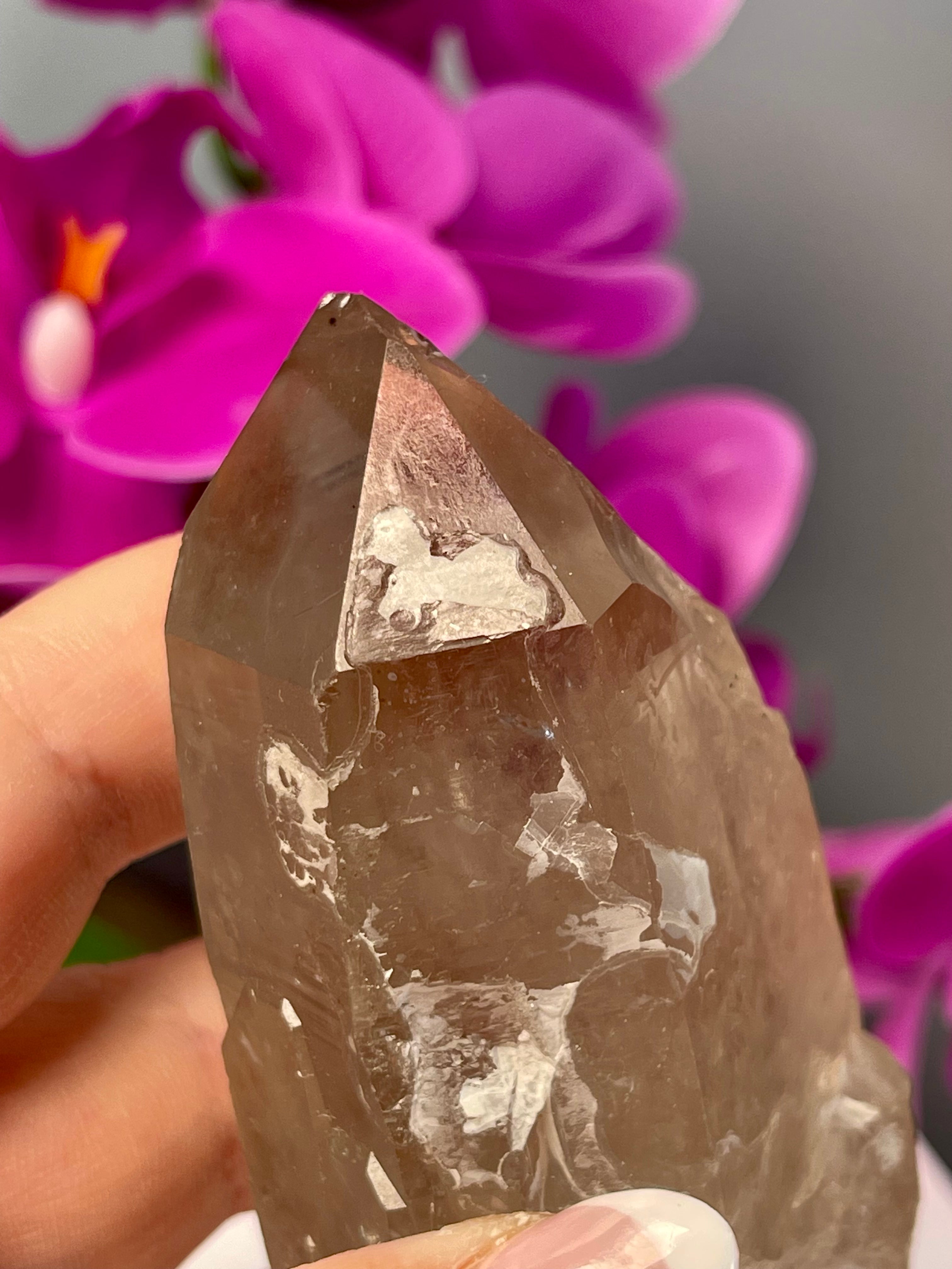 Etched Starbrary Lemurian | Record Keepers | S63