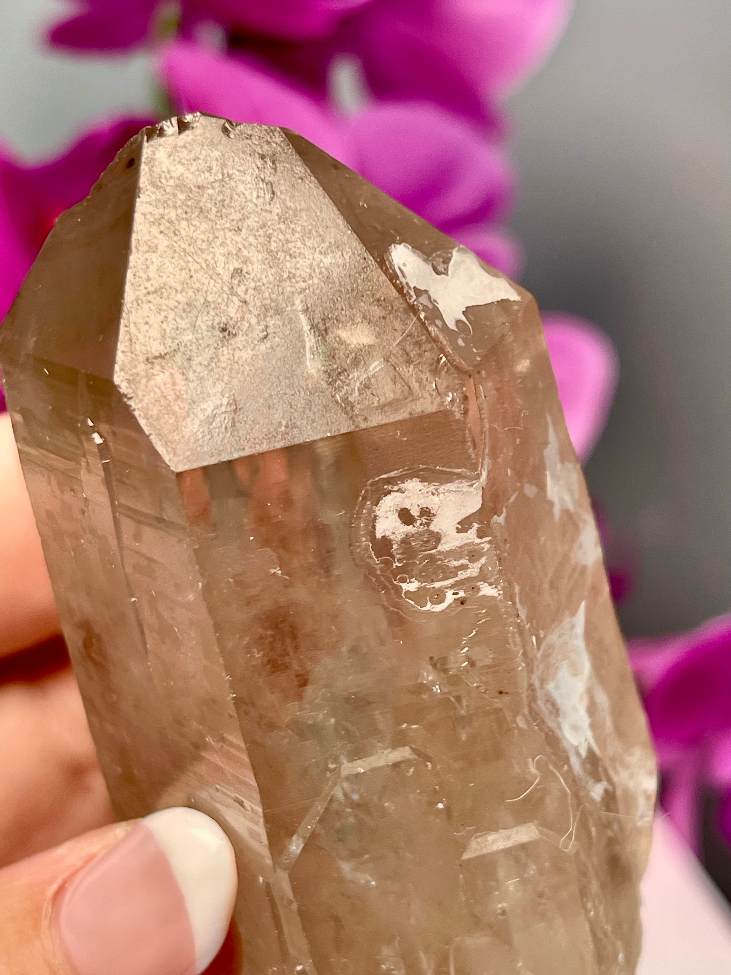 Etched Starbrary Lemurian | Record Keepers | S63