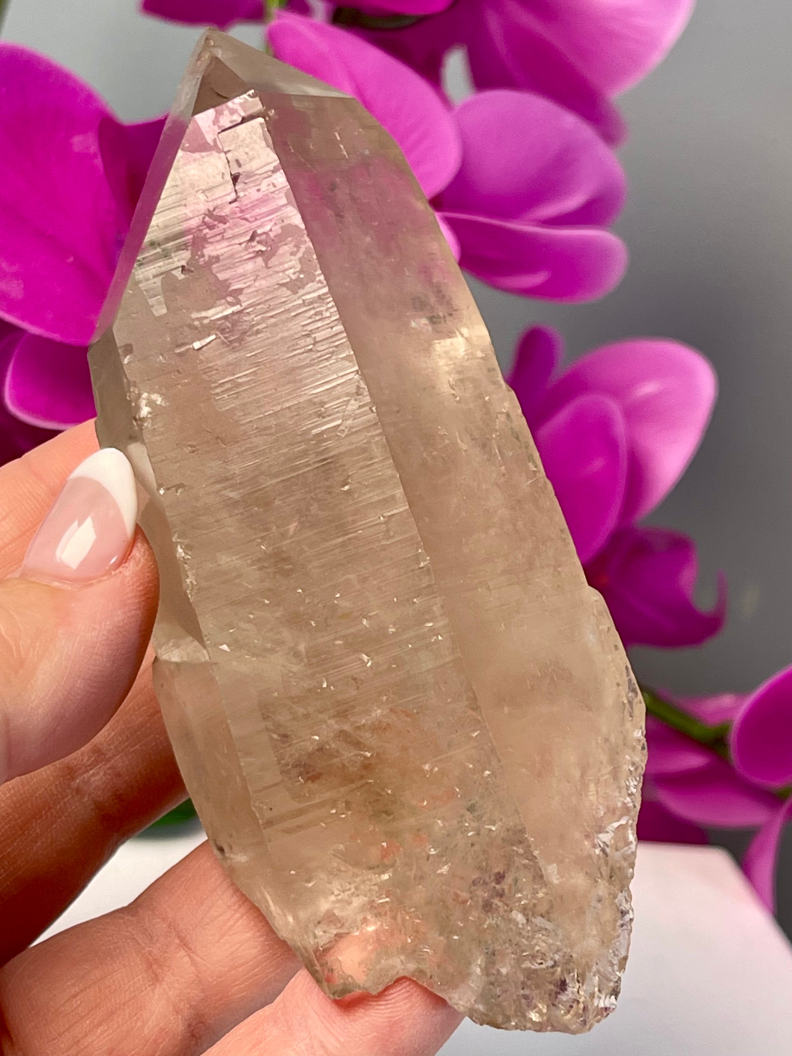 Etched Starbrary Lemurian | Record Keepers | S63