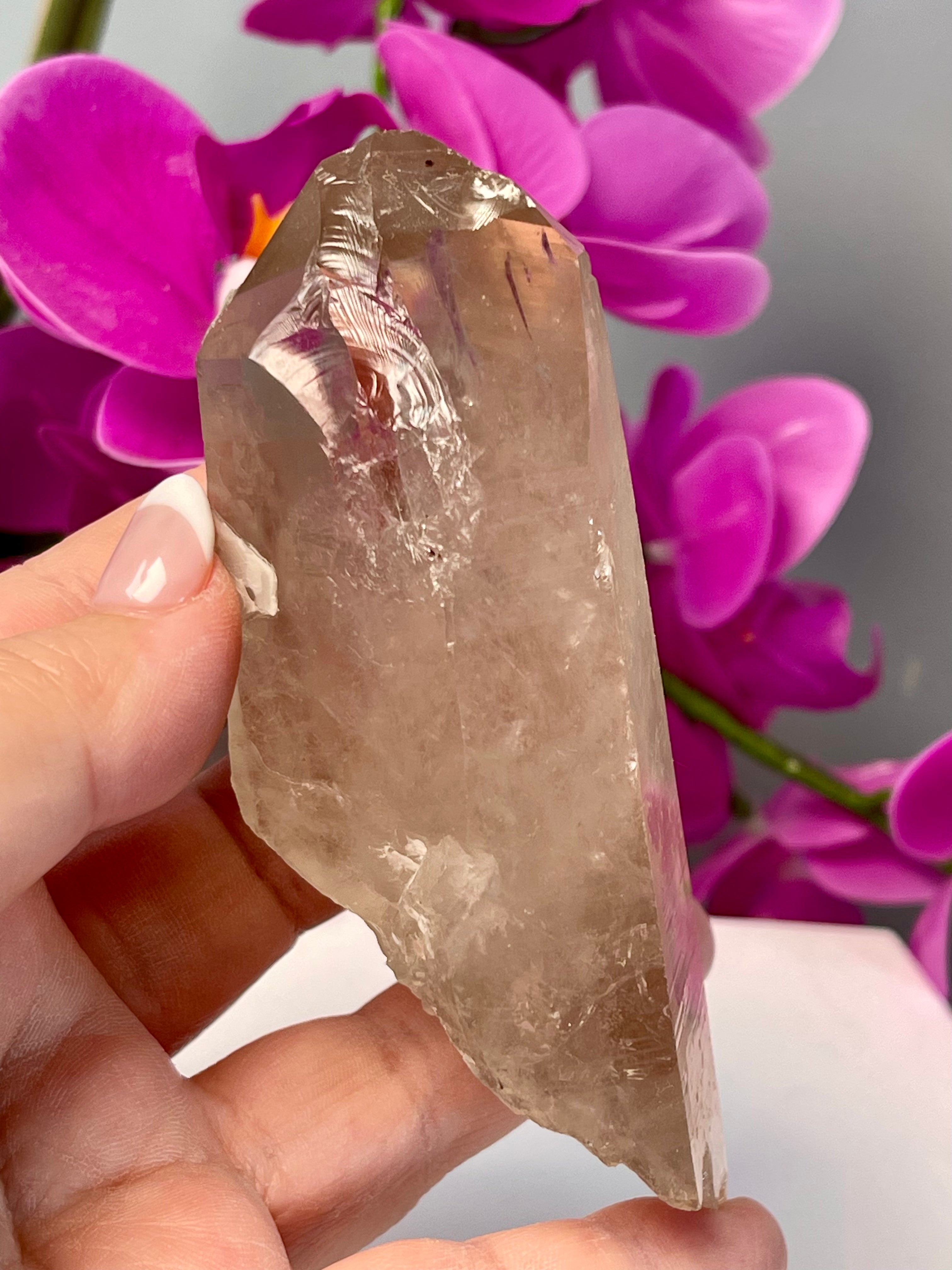 Etched Starbrary Lemurian | Record Keepers | S63
