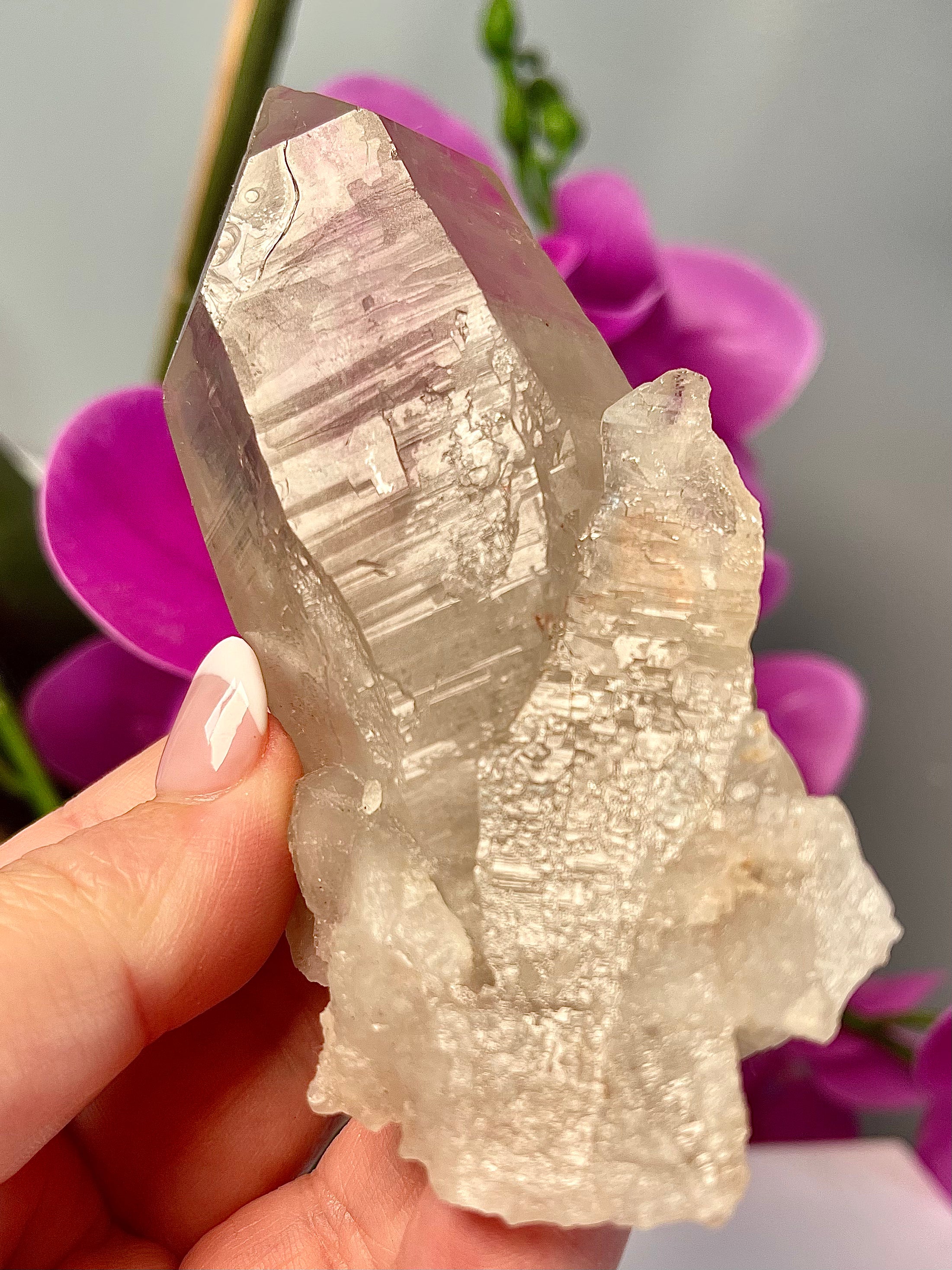 Etched Starbrary Lemurian | ET | S39