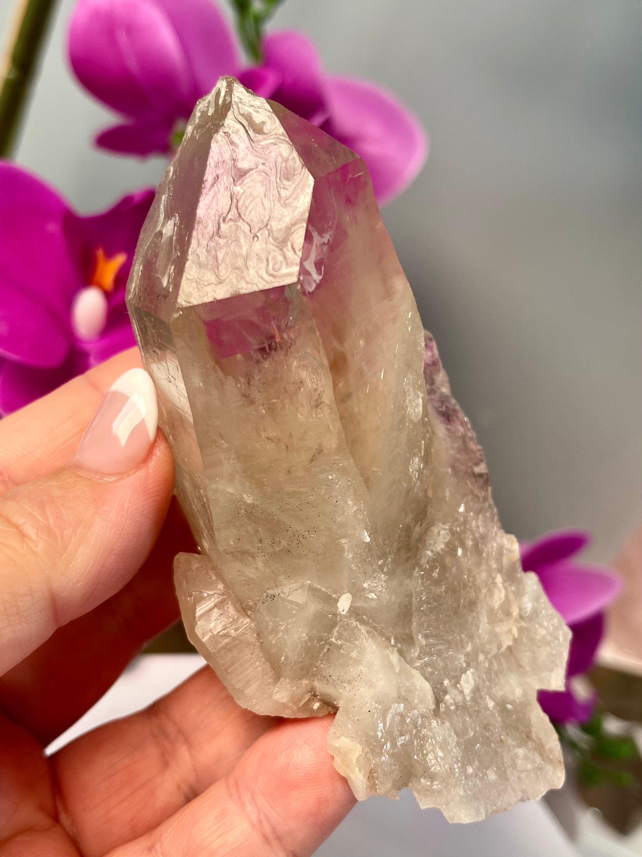 Etched Starbrary Lemurian | ET | S39