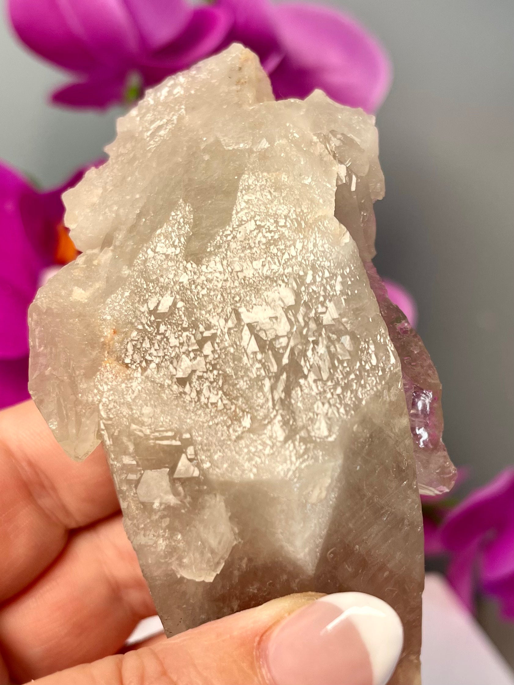 Etched Starbrary Lemurian | ET | S39