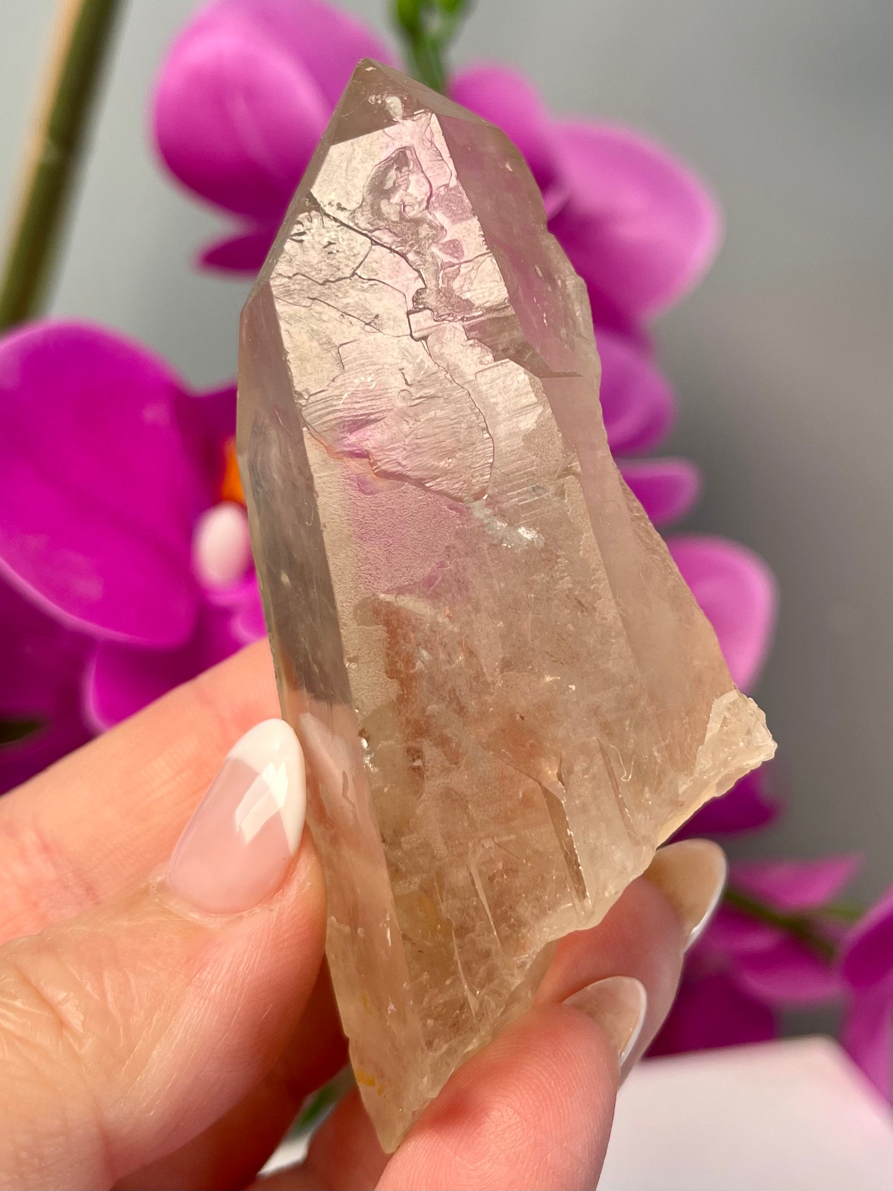 Etched Starbrary Lemurian | S59