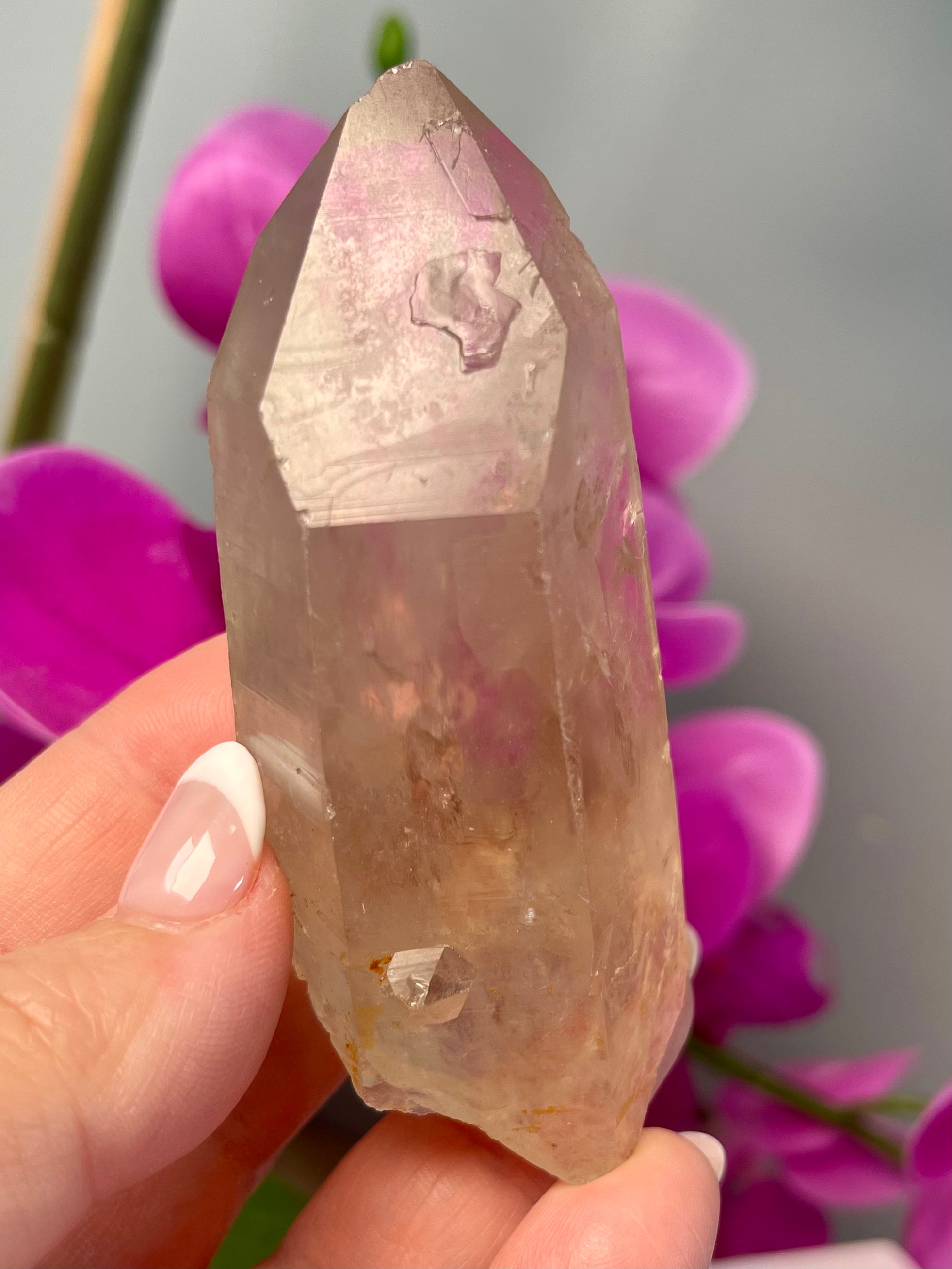 Etched Starbrary Lemurian | S59