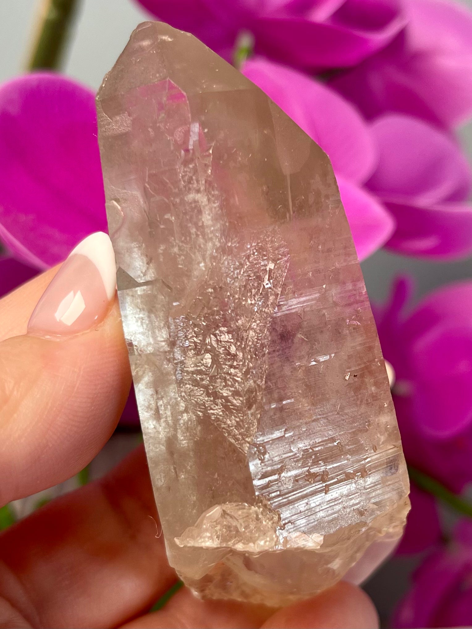 Etched Starbrary Lemurian | S59