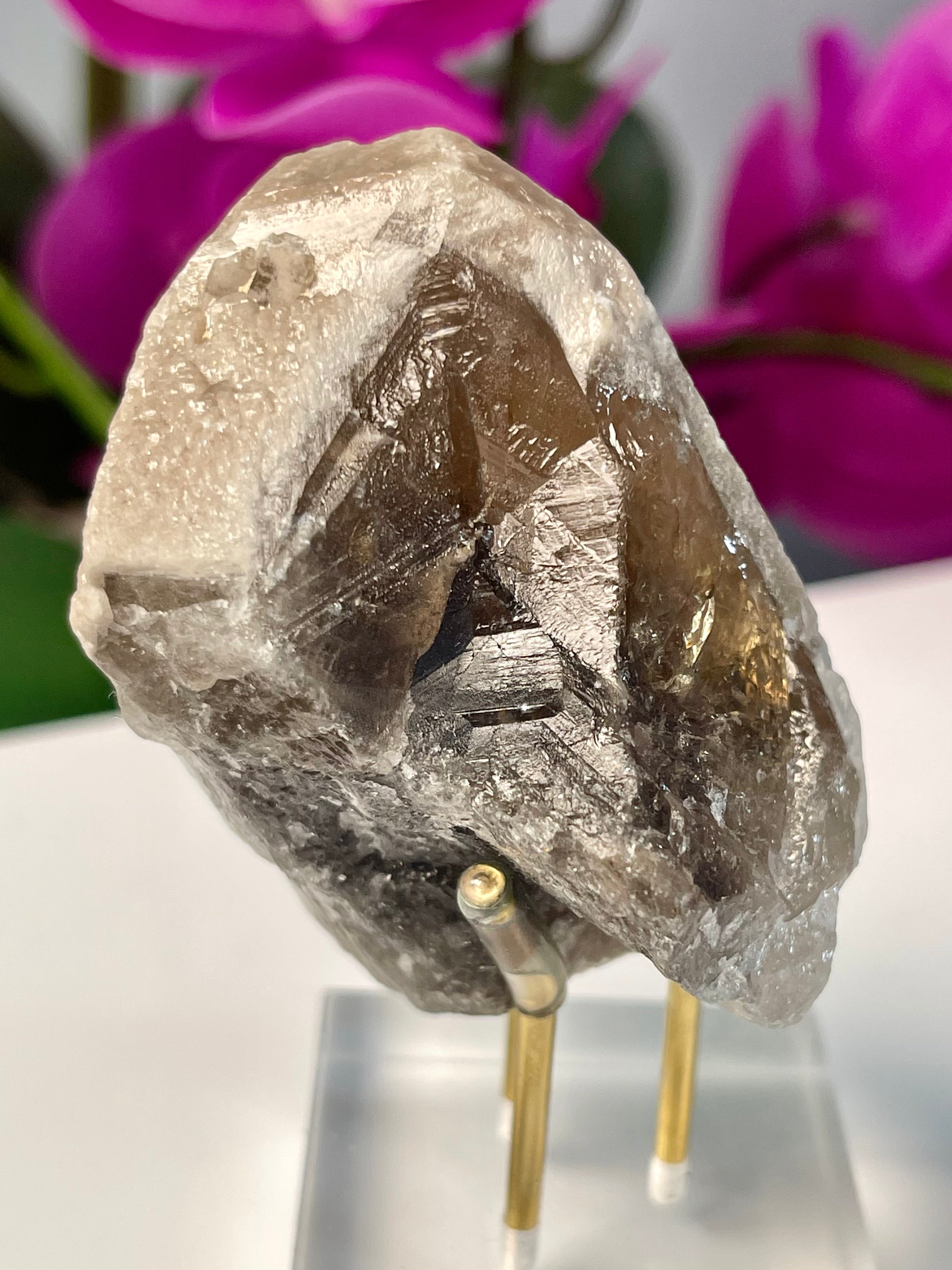 Dragon Scale Yin Yang Lemurian | Key| Pearlescent | Y503