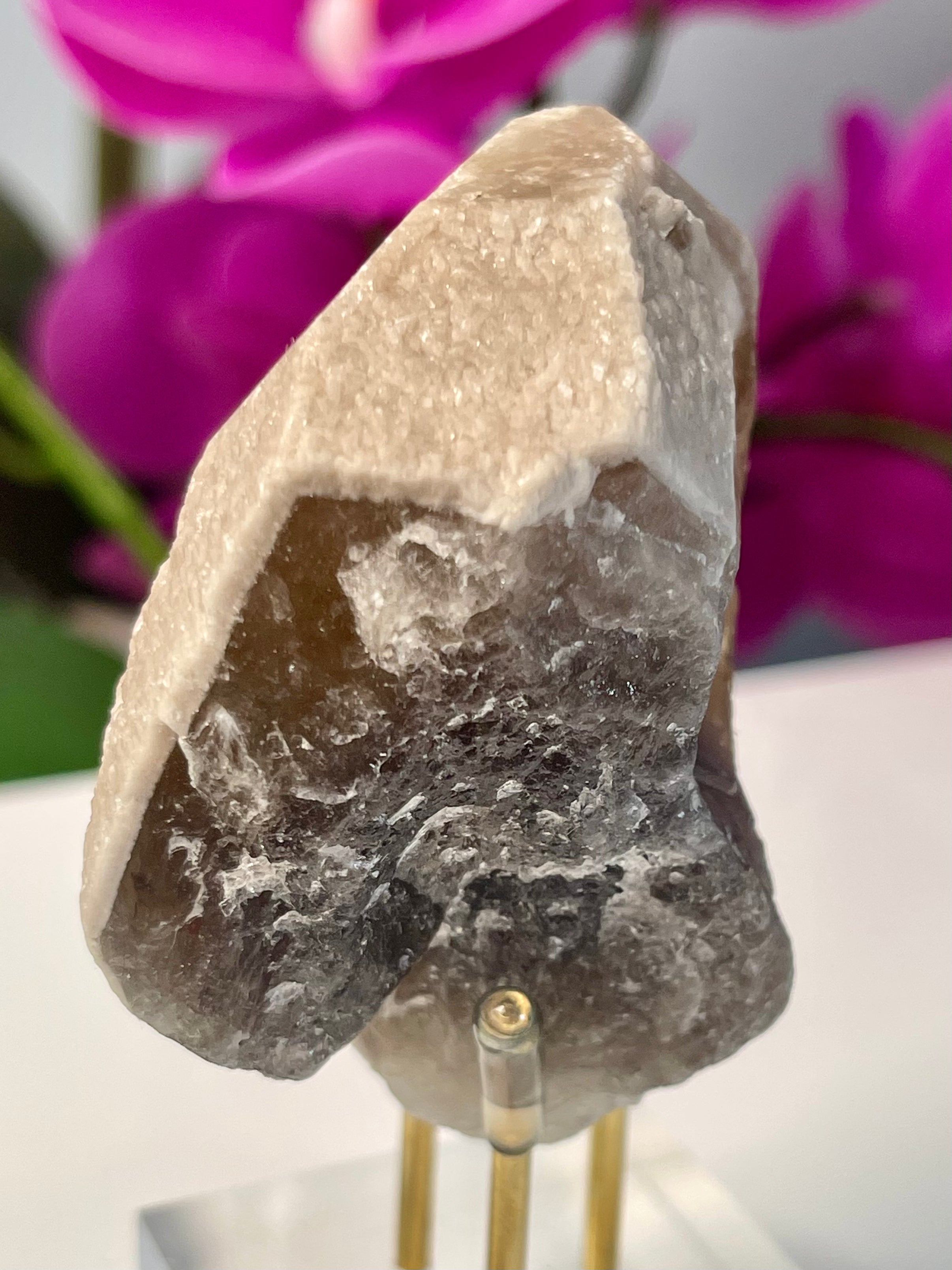 Dragon Scale Yin Yang Lemurian | Key| Pearlescent | Y503