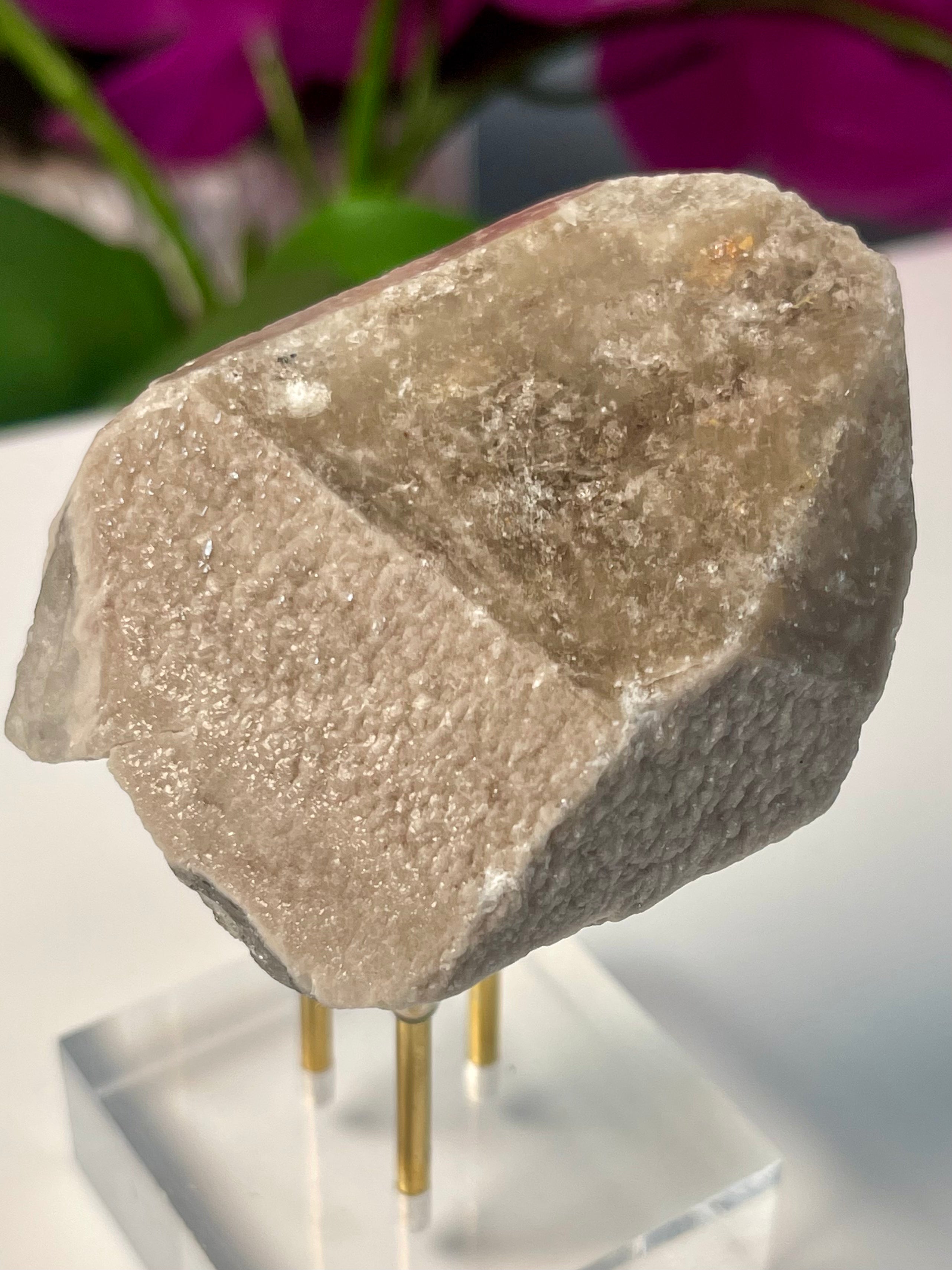 Dragon Scale Yin Yang Lemurian | Key| Pearlescent | Y503