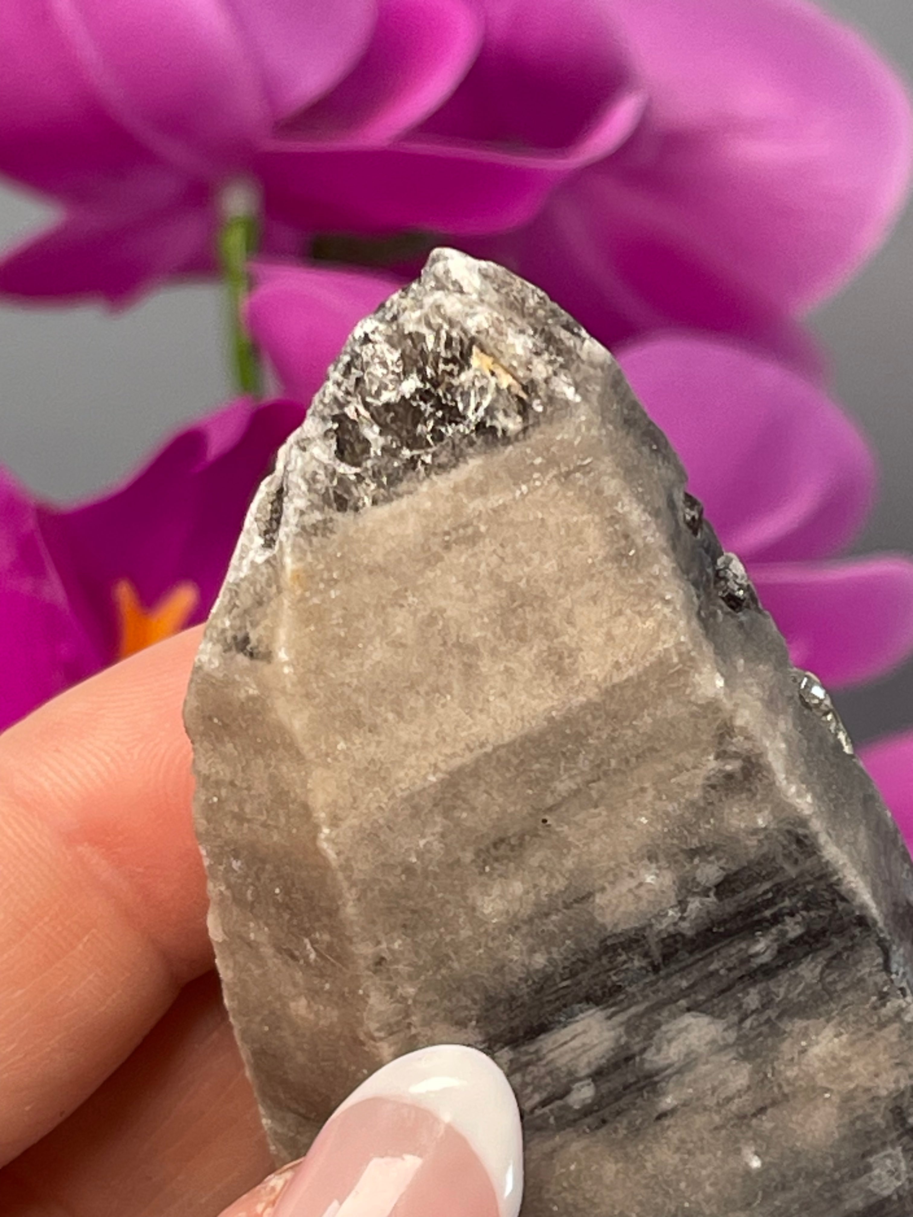 Morion Yin Yang Lemurian | Starbrary | Pearlescent | Mica | Y514