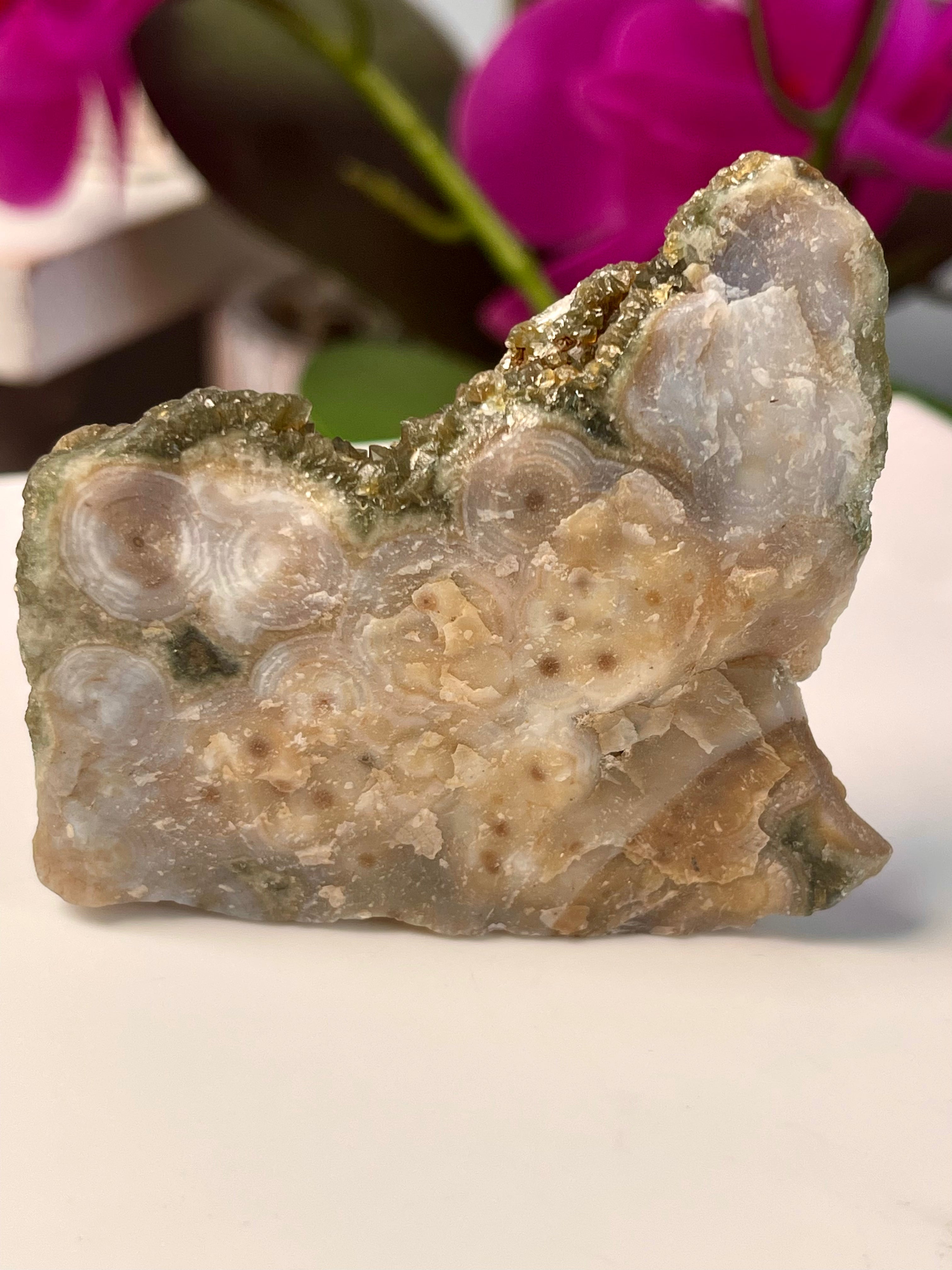 Raw Ocean Jasper | Chlorite Druse | Self Stands | OJ57