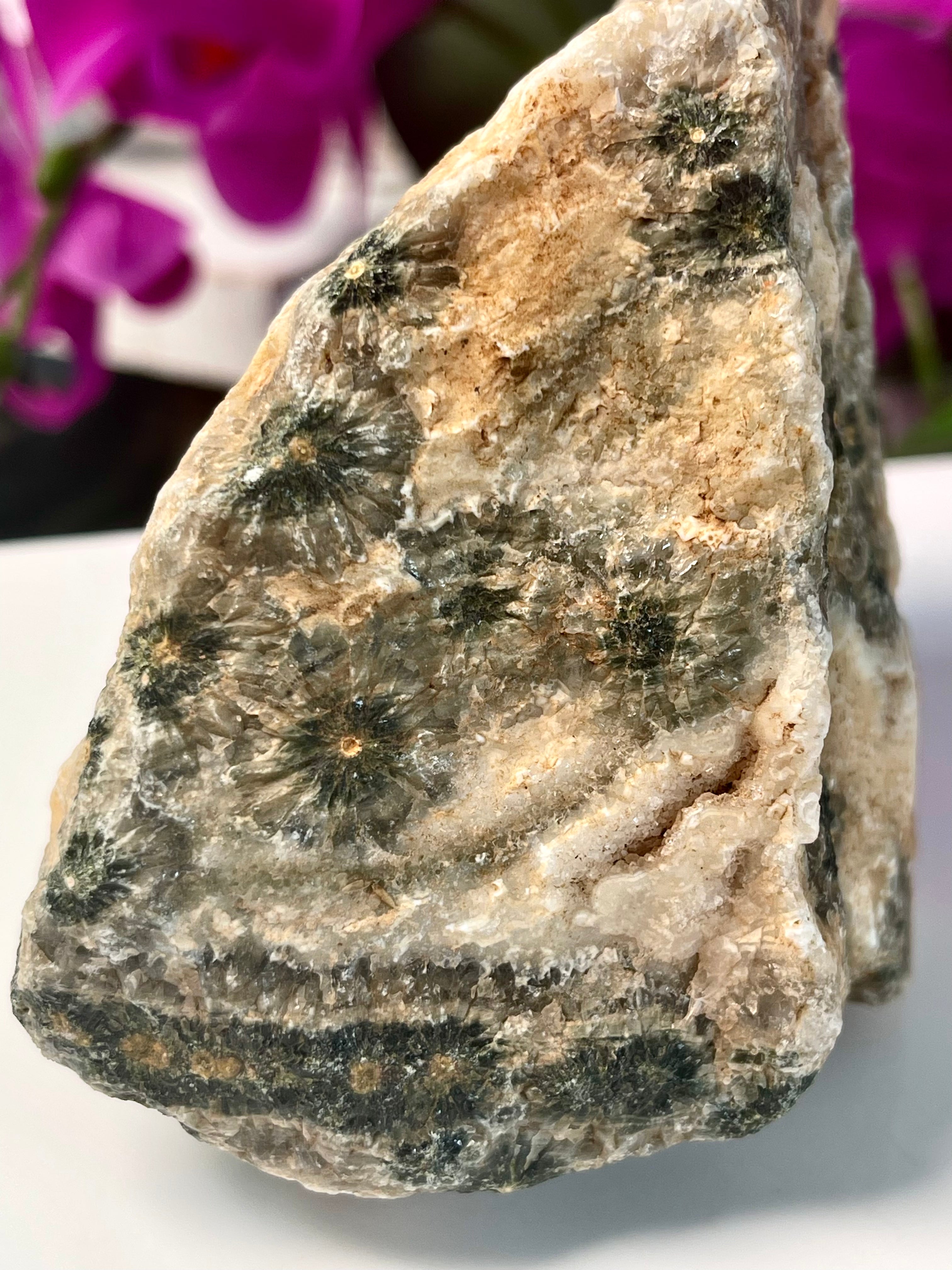 Raw Ocean Jasper | Flower Orbs | Druse | Self Stands | OJ33