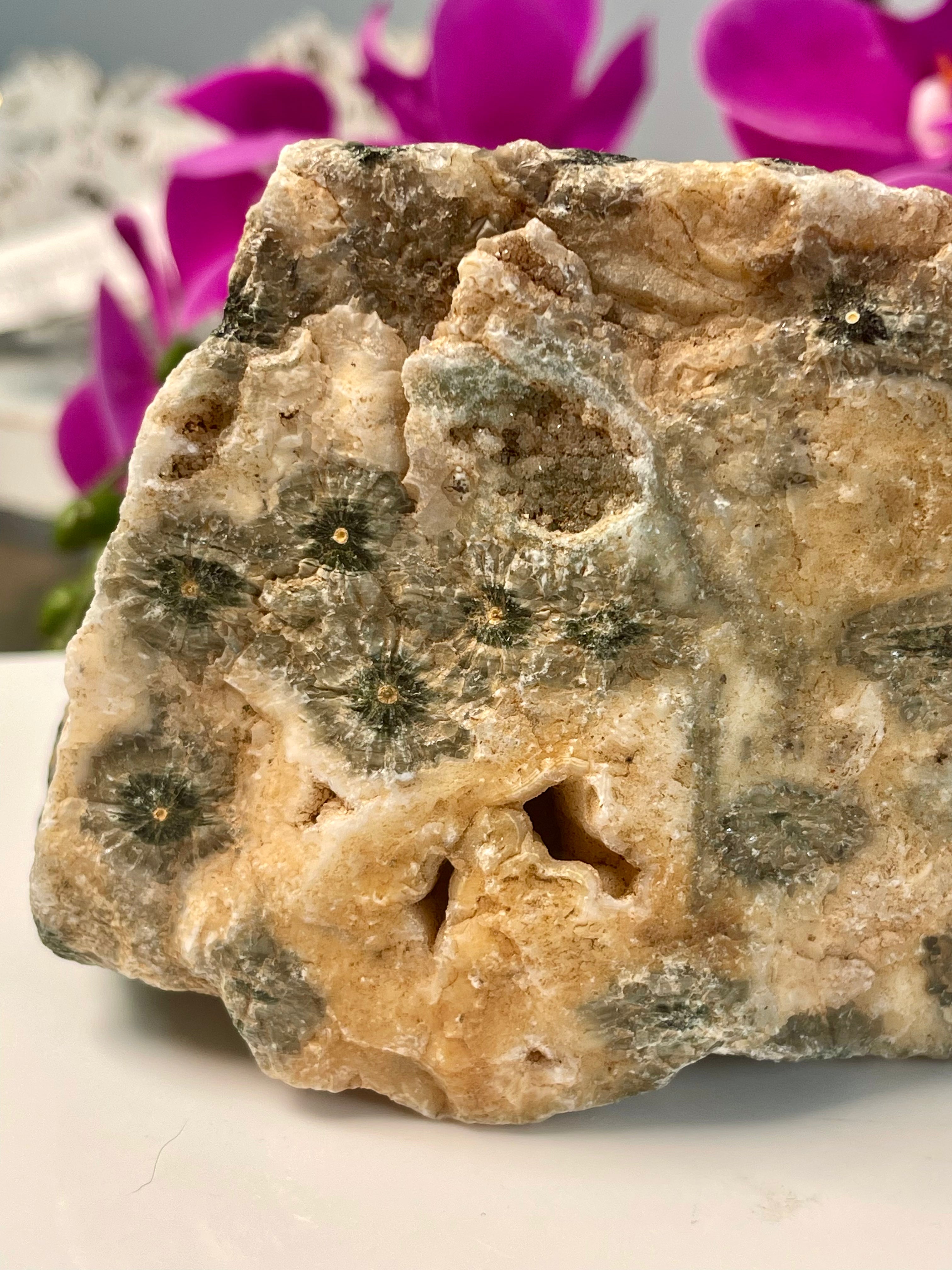 Raw Ocean Jasper | Flower Orbs | Druse | Self Stands | OJ33