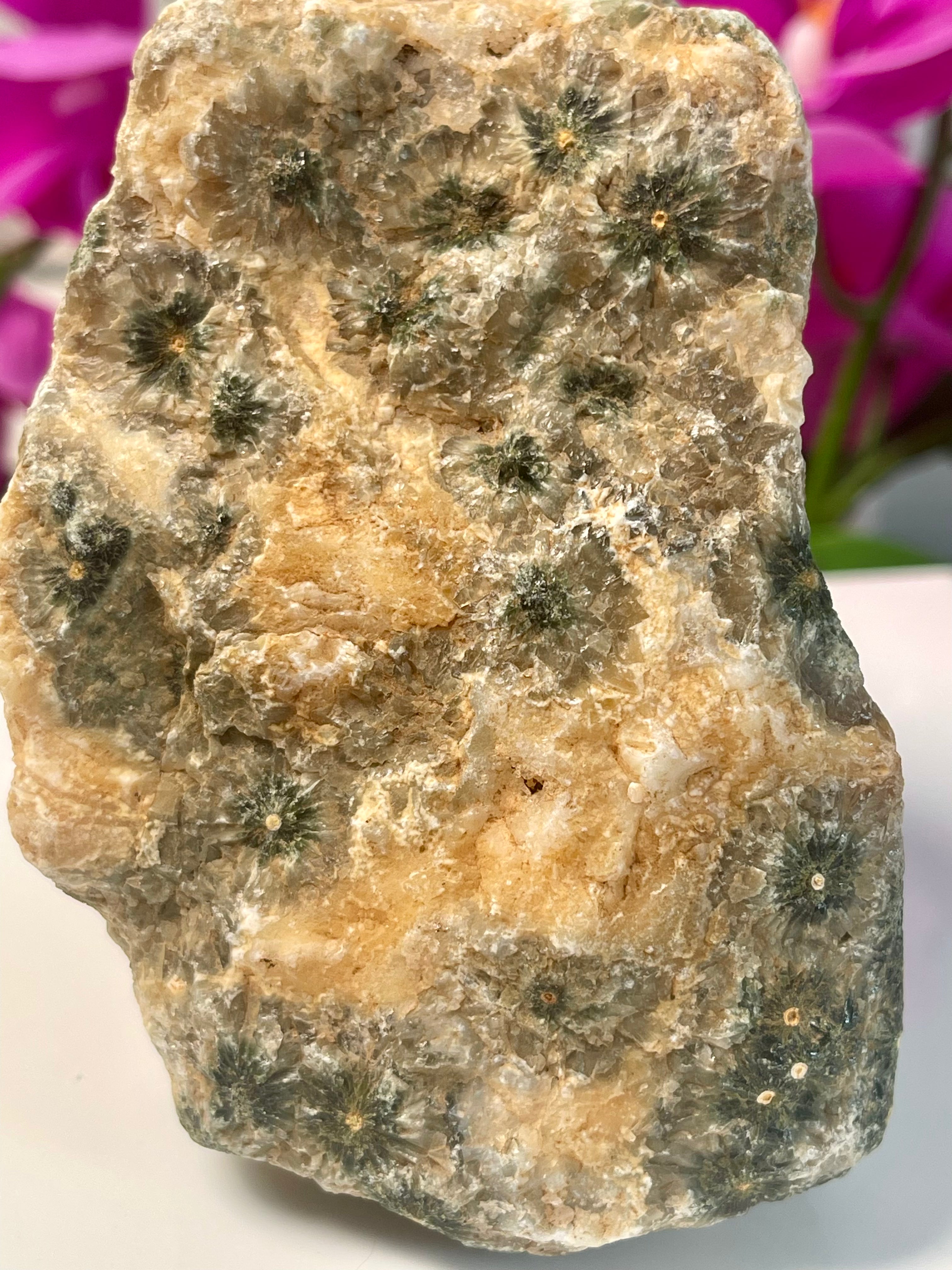 Raw Ocean Jasper | Flower Orbs | Druse | Self Stands | OJ33