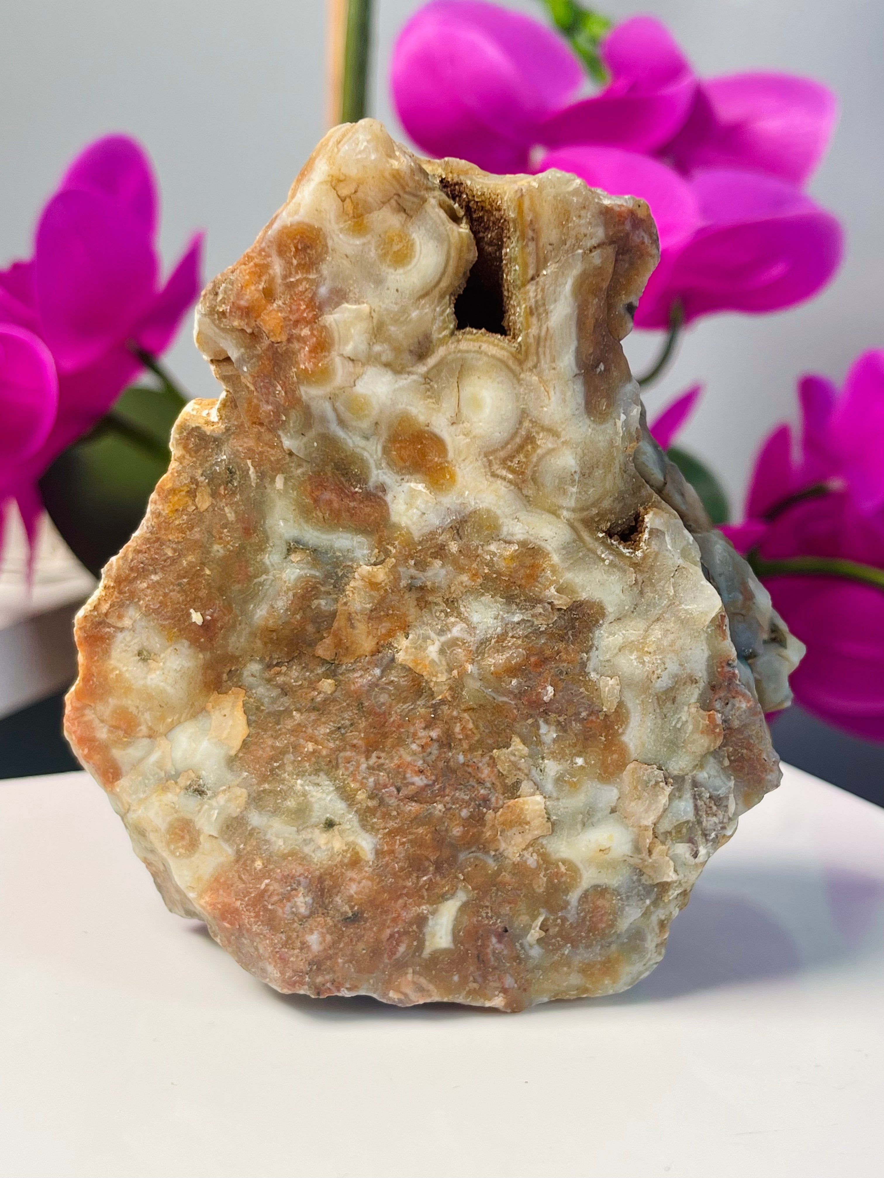 Raw Ocean Jasper | Flower Orbs | Druse | Self Stands | OJ4