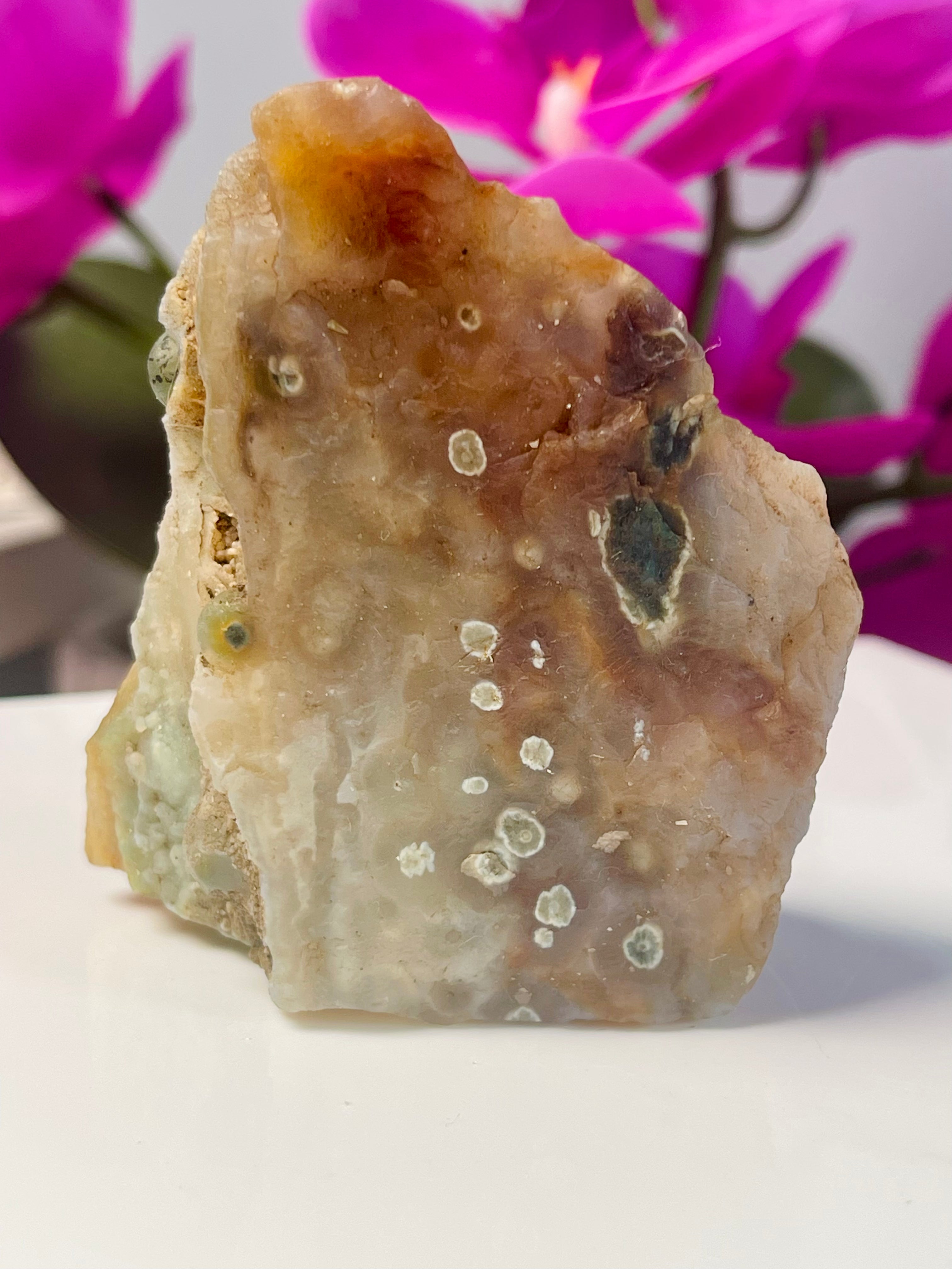 Raw Ocean Jasper | Orbs | Self Stands | OJ16