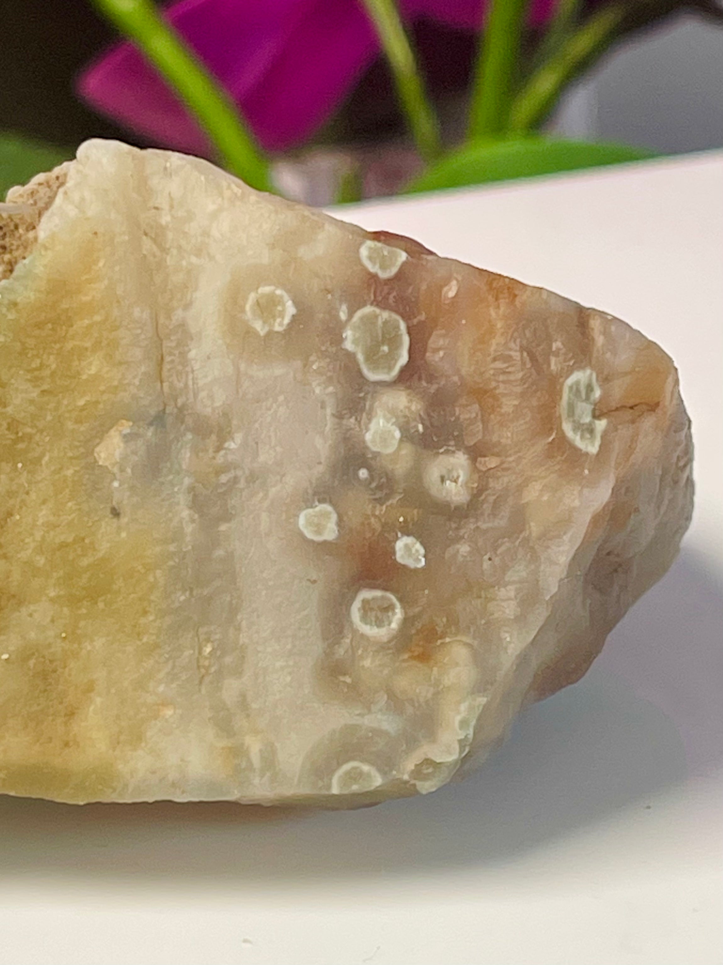 Raw Ocean Jasper | Orbs | Self Stands | OJ16