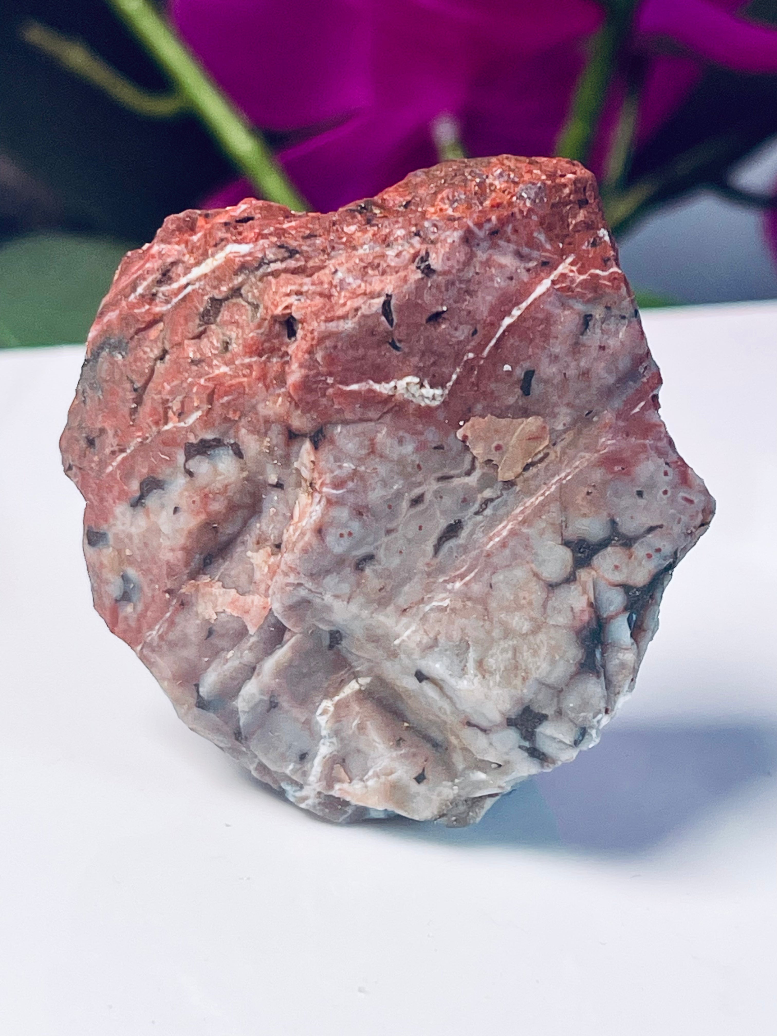 Red Raw Ocean Jasper | Flower Orbs | Self Stands | Druse | OJ59